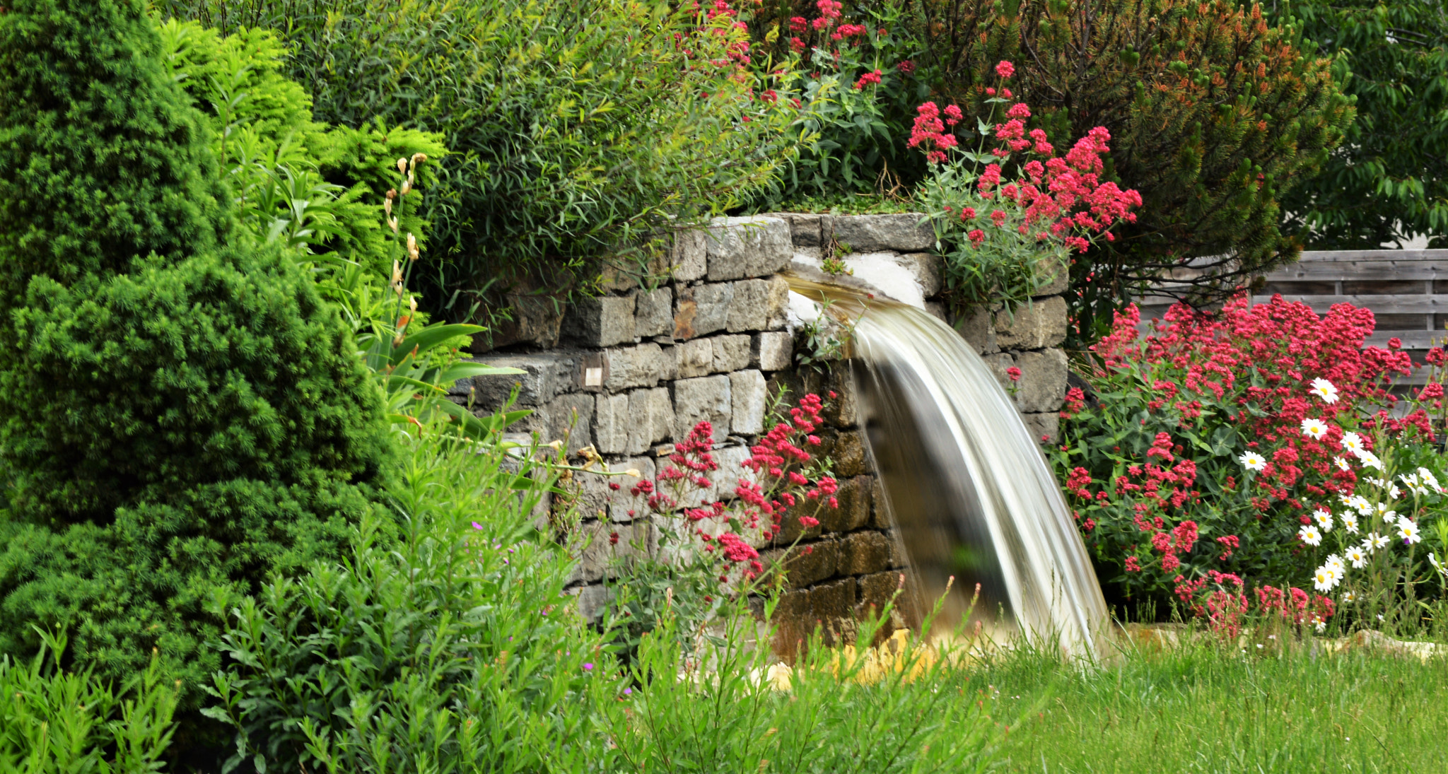 Nikon D3200 sample photo