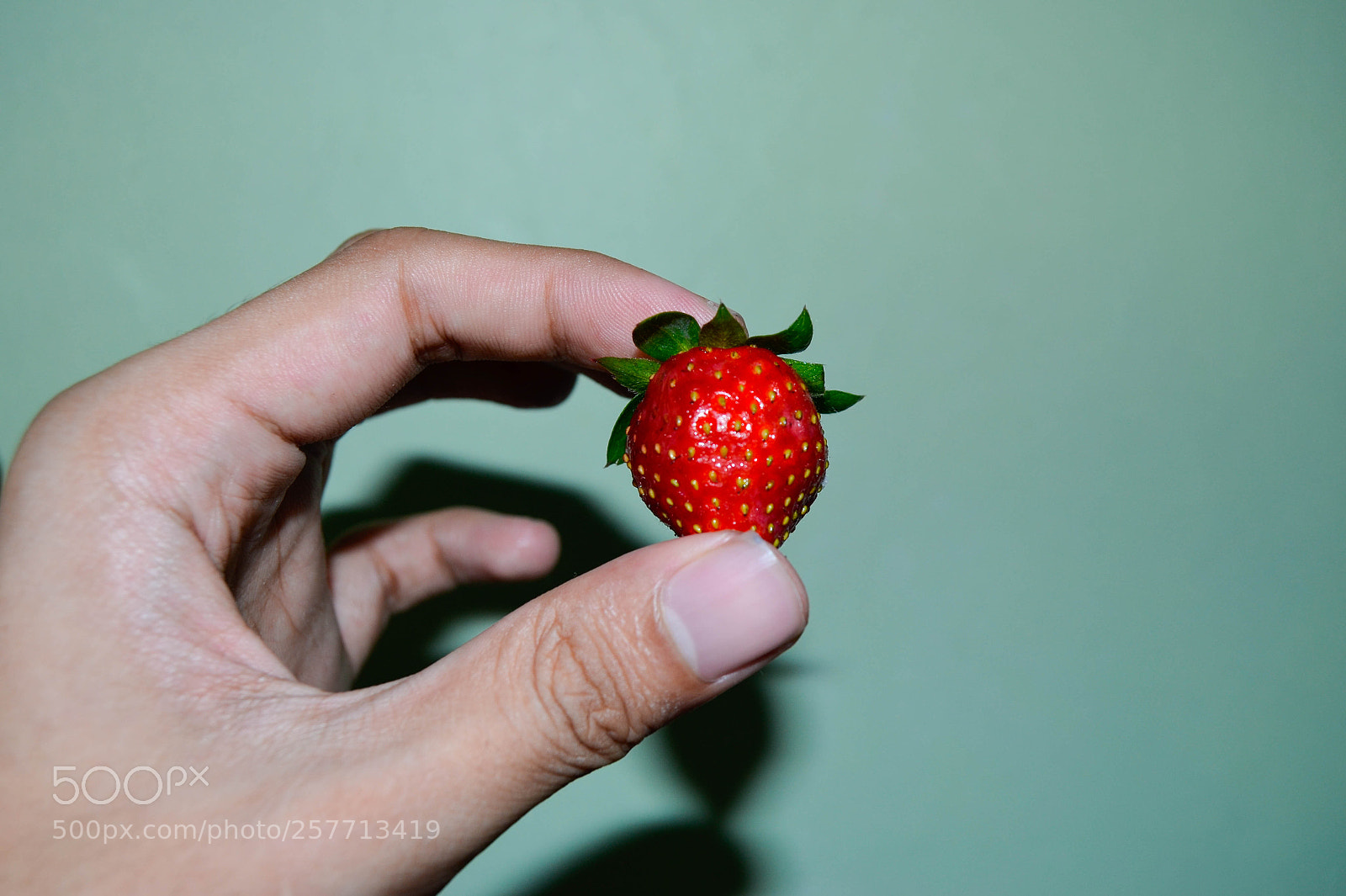 Nikon D5100 sample photo. Untitled photography