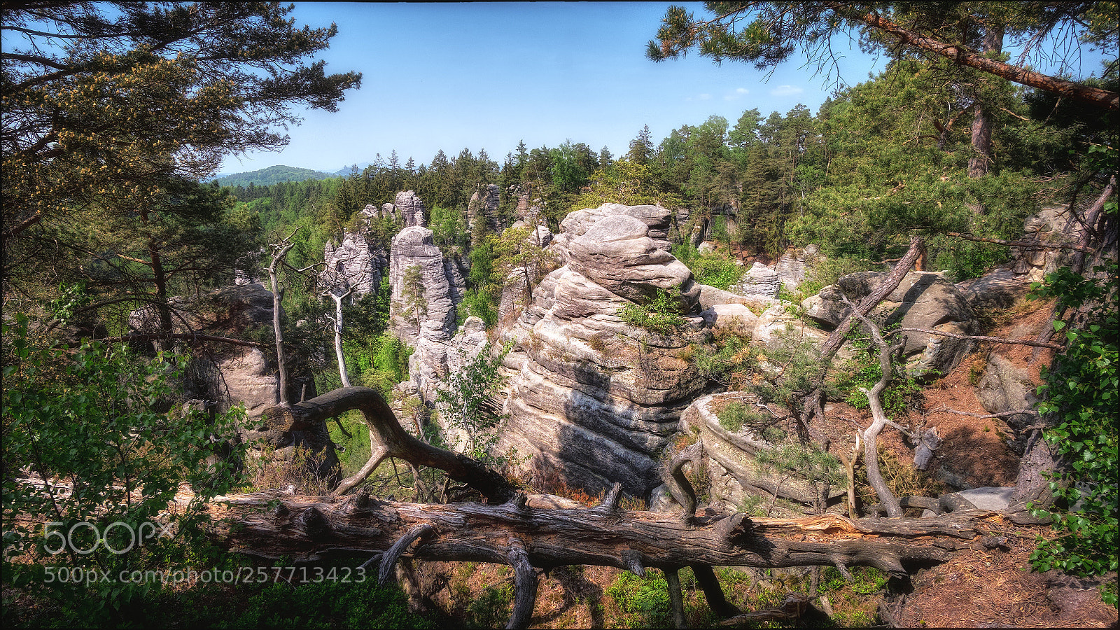 Fujifilm X-T1 sample photo. Prachovské skály i photography