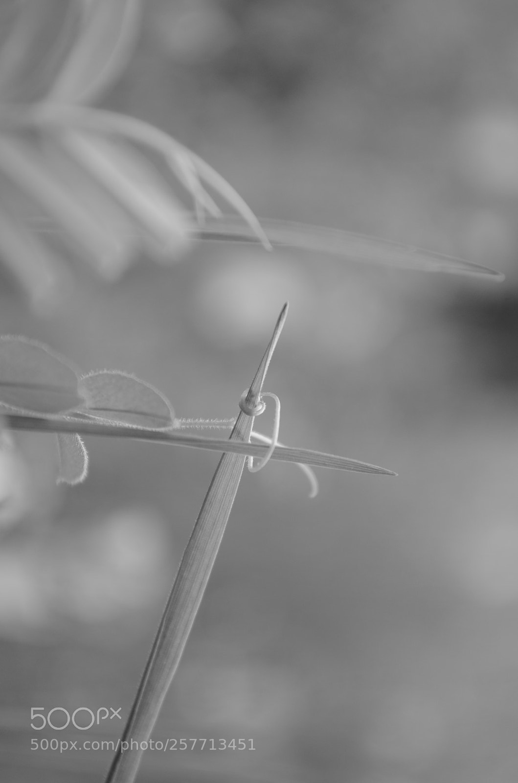 Nikon D5100 sample photo. You gotta have faith photography