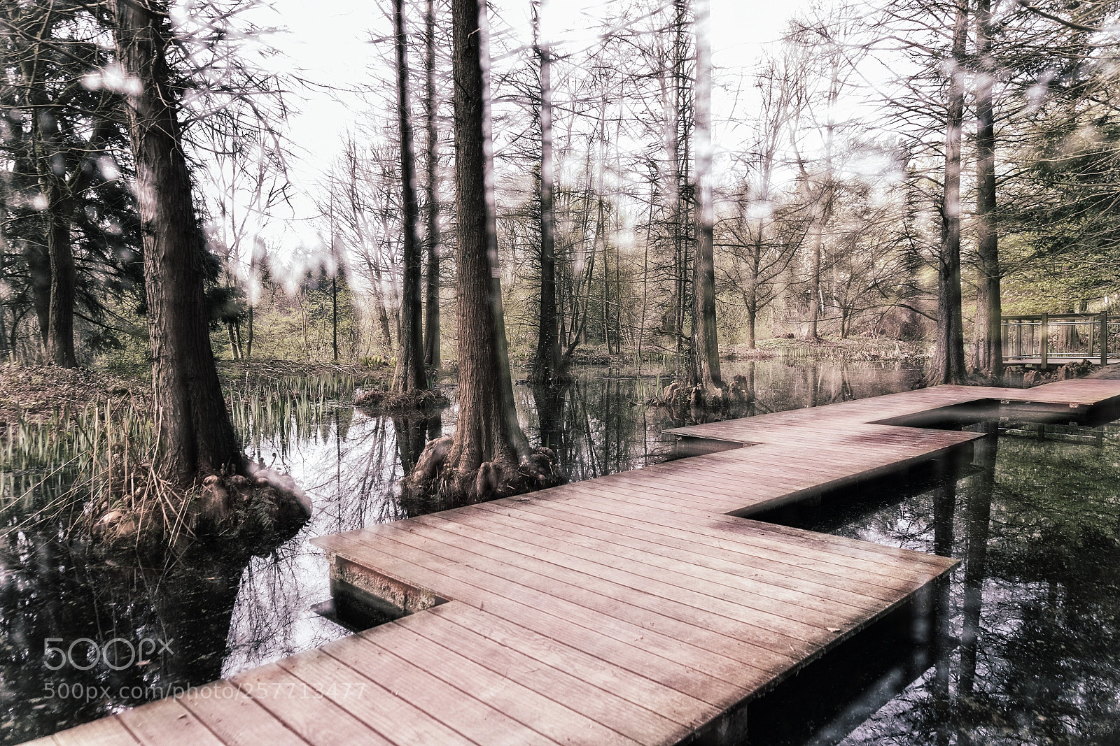 Canon EOS 6D Mark II sample photo. Wasserwege photography