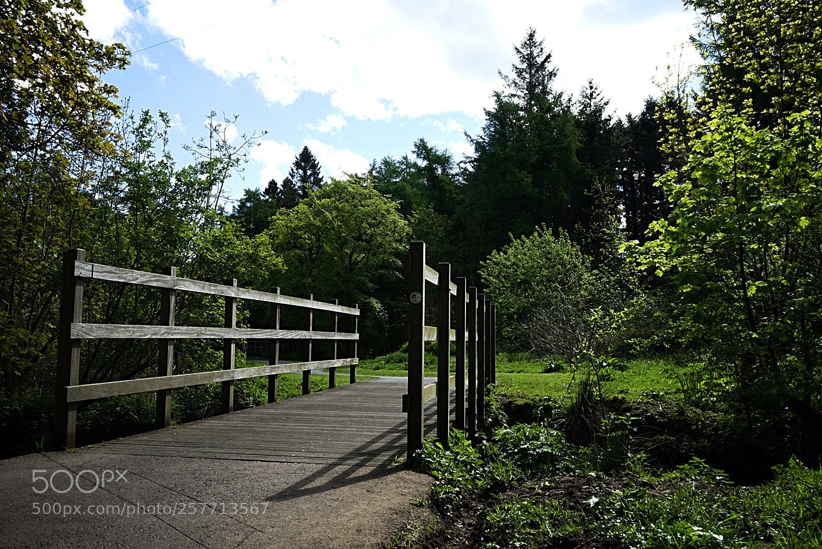 Sony a7 sample photo. The bridge i photography