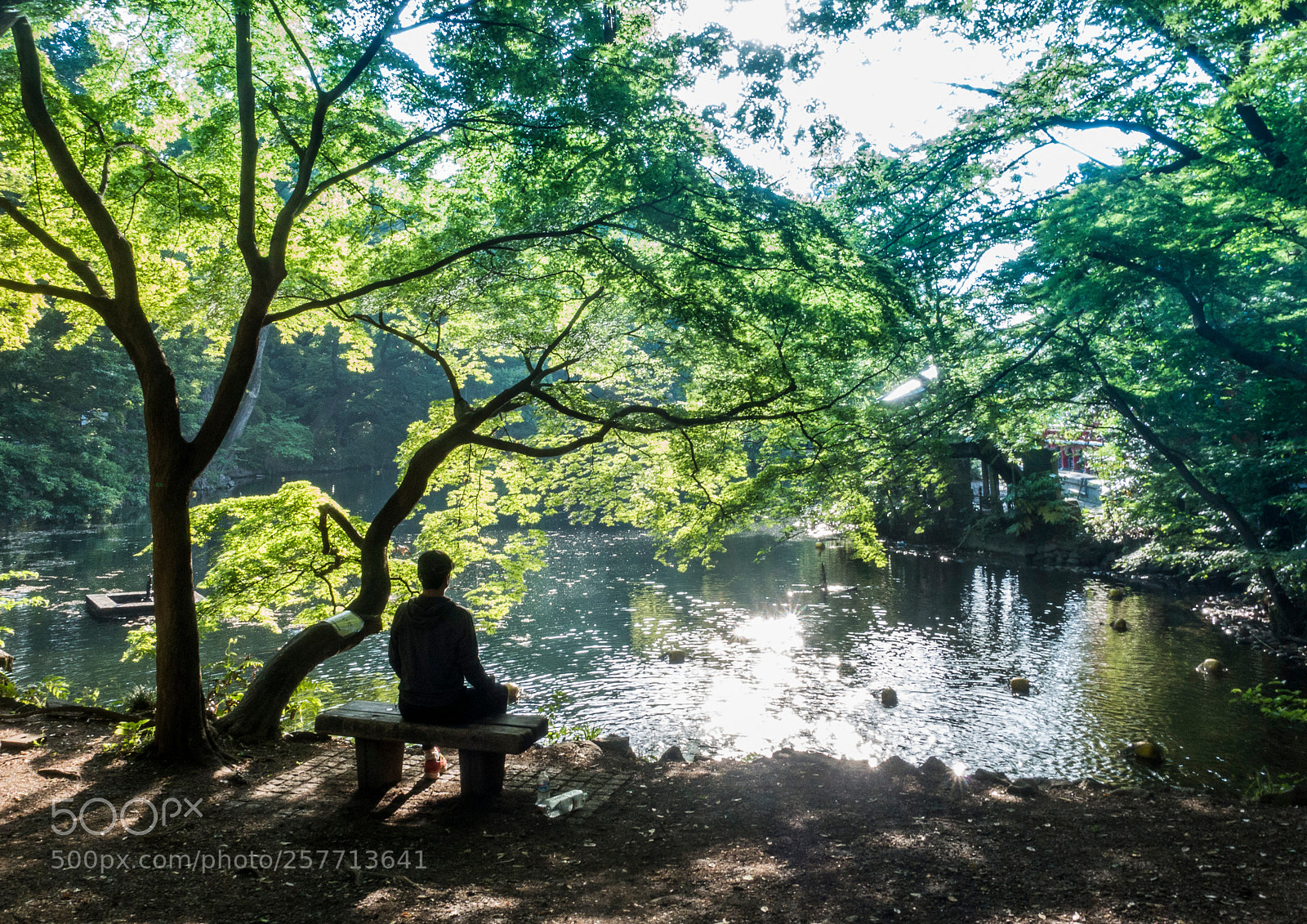 Sony Cyber-shot DSC-RX100 III sample photo. 朝の瞑想　- meditation - photography