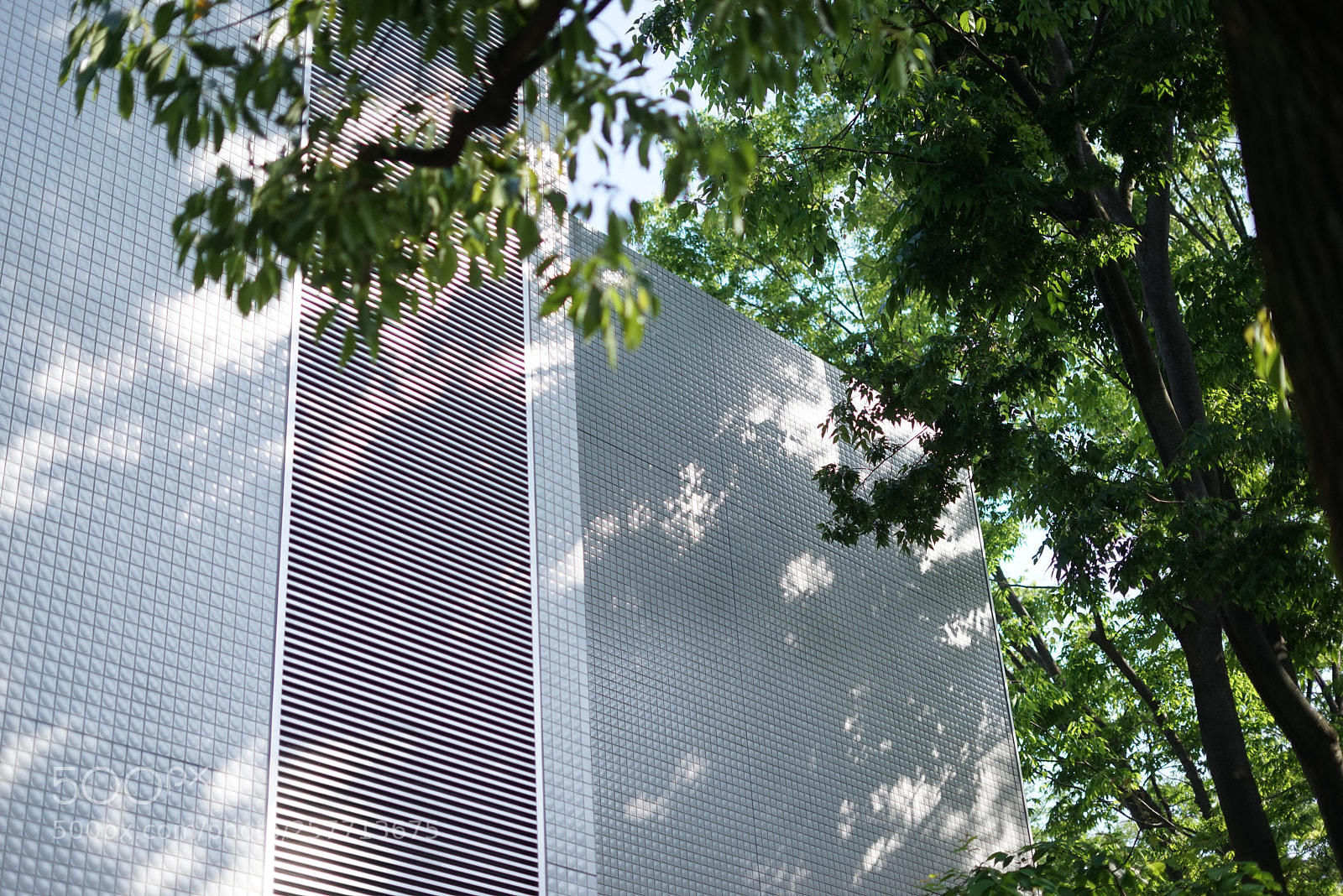 Sony a7R sample photo. Dsc photography
