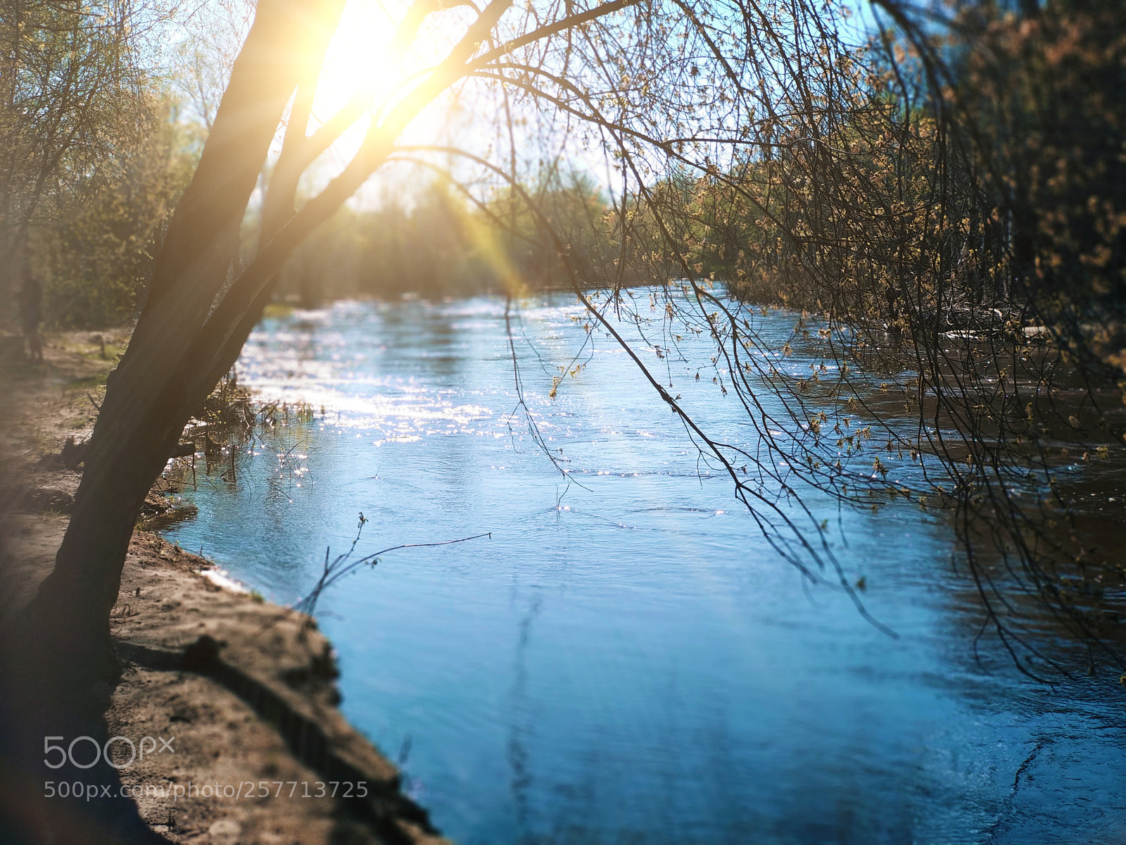 Xiaomi Mi A1 sample photo. Spring photography