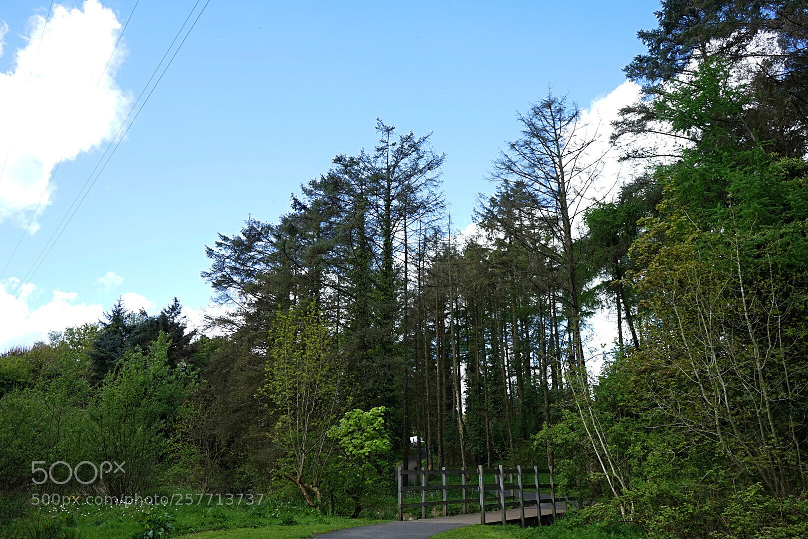 Sony a7 sample photo. The bridge ii photography
