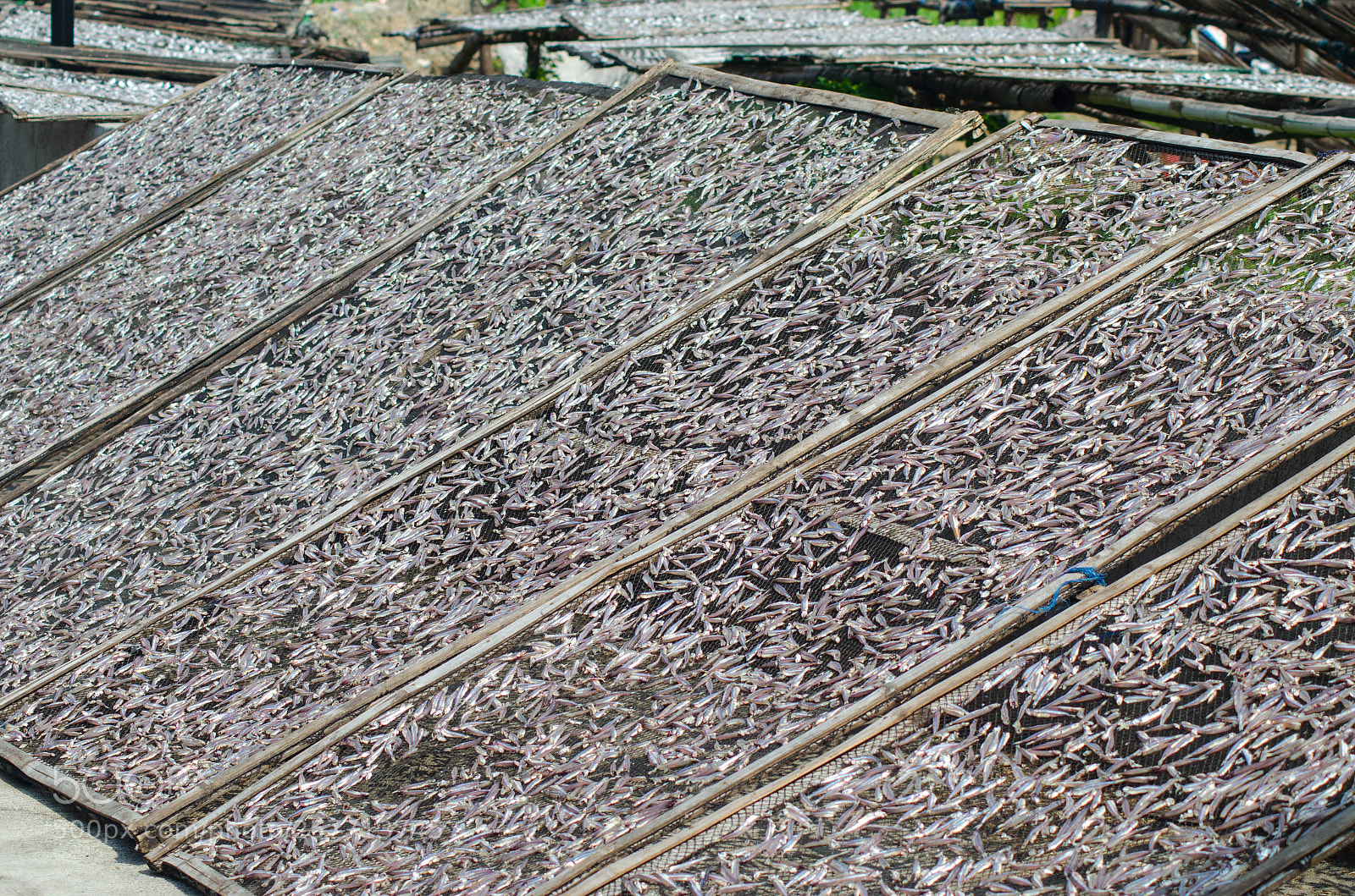 Nikon D5100 sample photo. Tinapa (dried fish) photography
