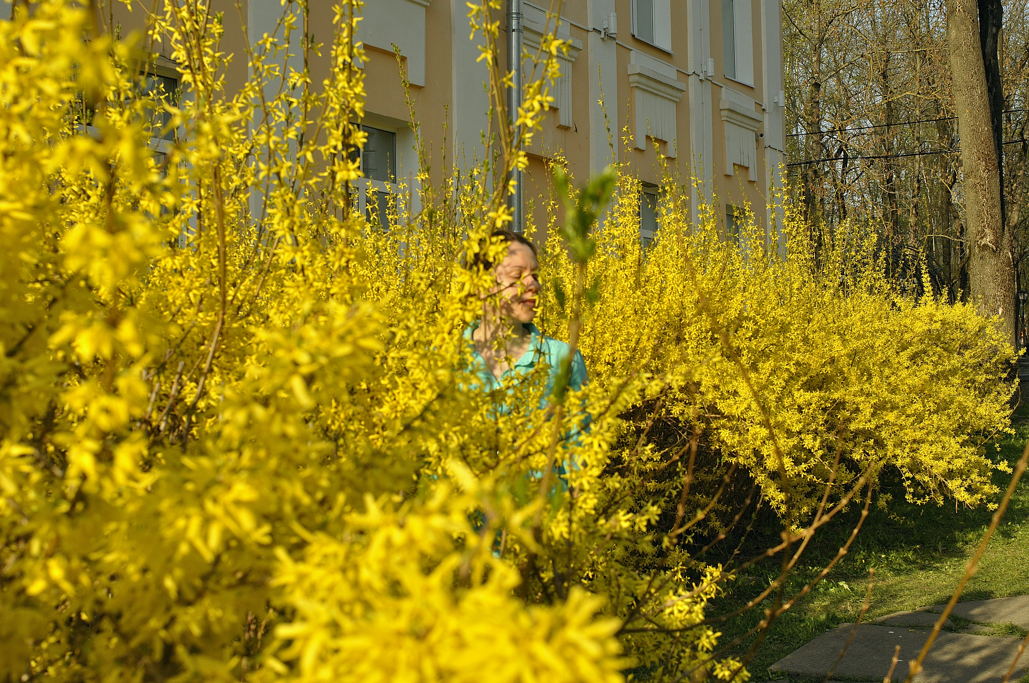 Nikon AF Nikkor 35mm F2D sample photo. Spring in the city photography