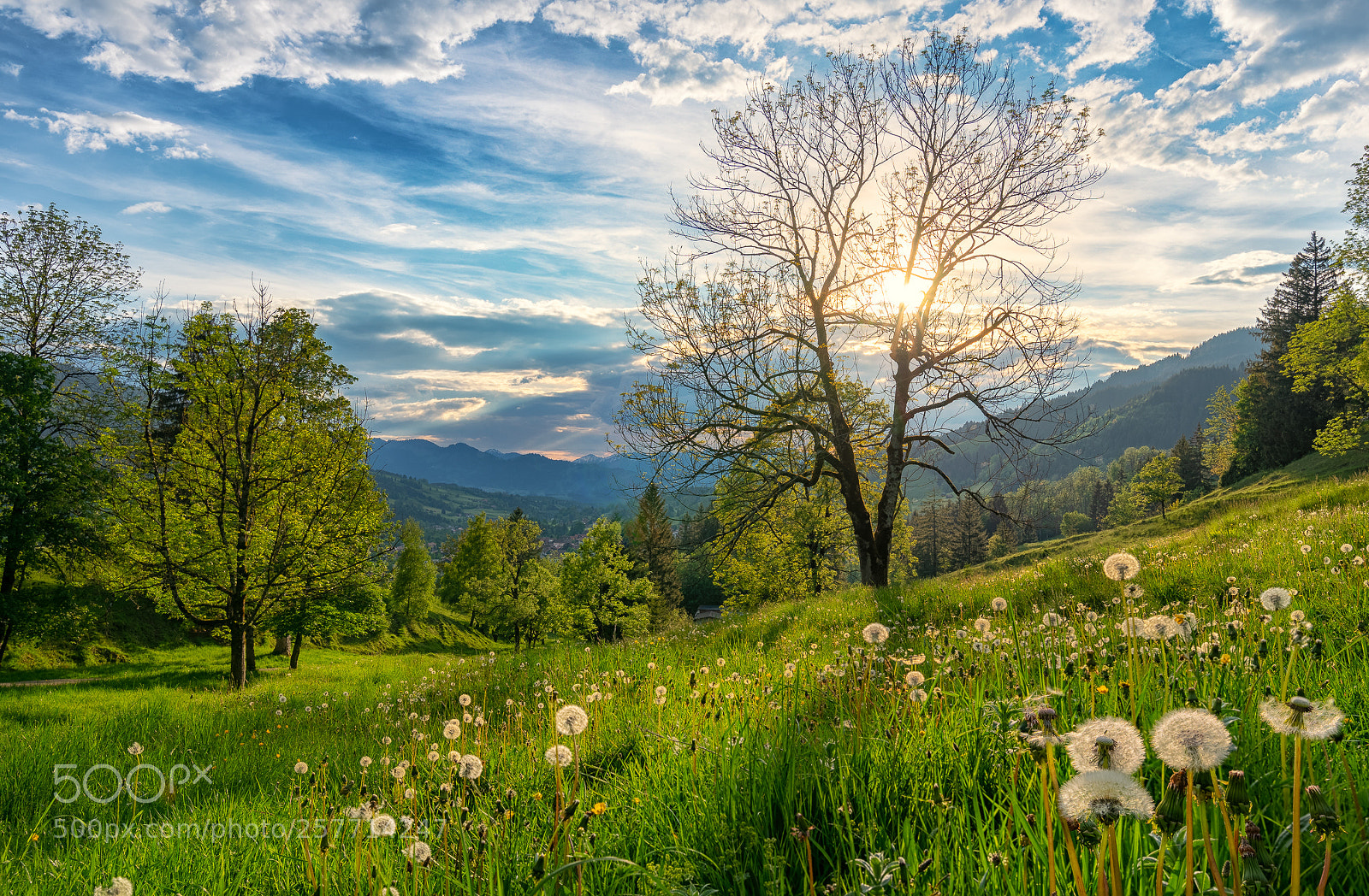 Sony a7 sample photo. Im allgäu photography