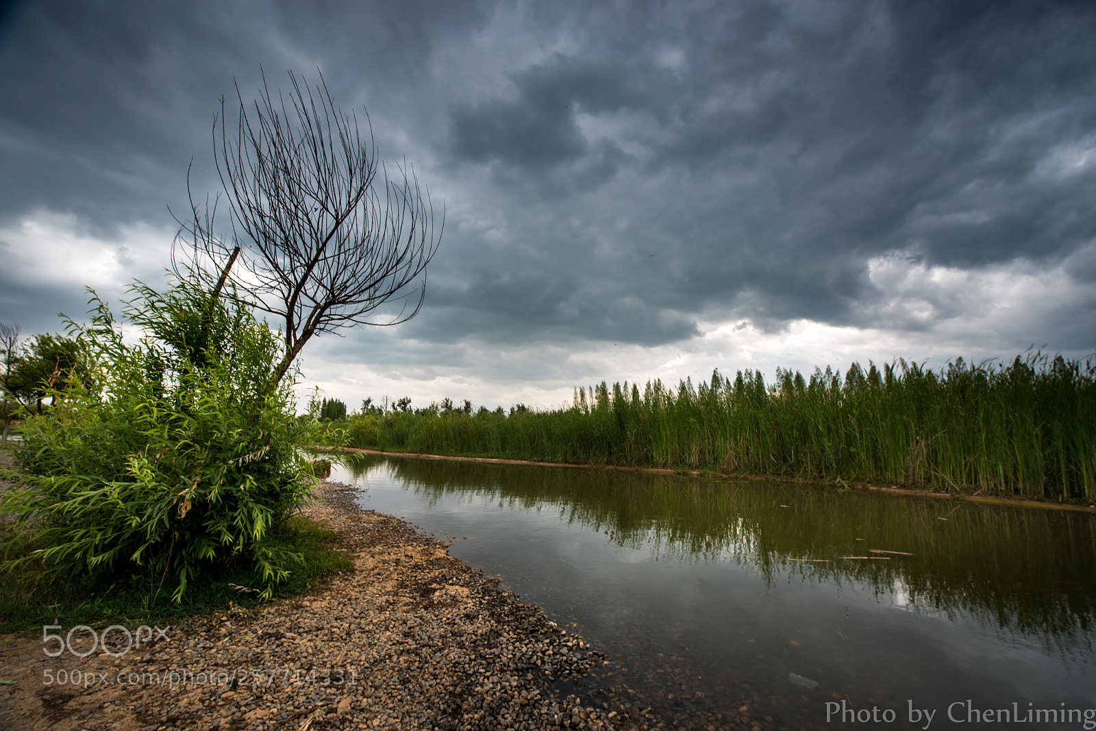 Nikon D750 sample photo. Cloudy day photography