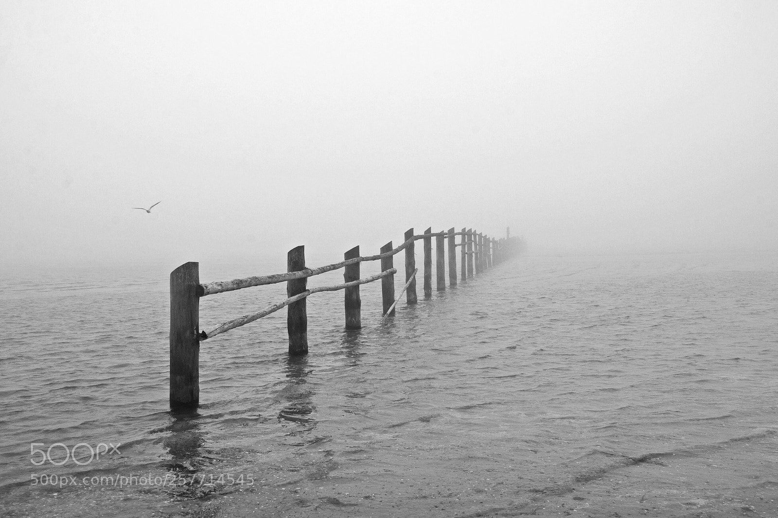 Nikon D90 sample photo. Endless morning photography