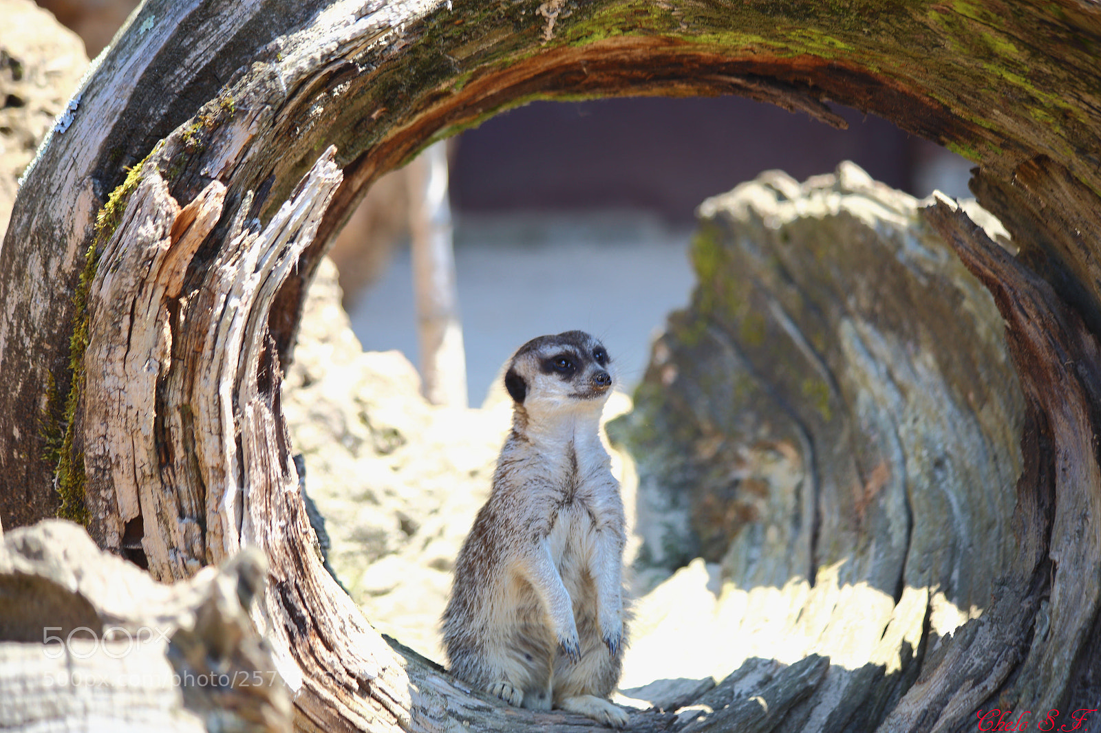 Canon EOS 6D sample photo. Untitled photography