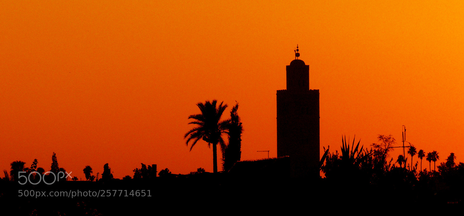 Panasonic Lumix DMC-FZ200 sample photo. Marrakesh skyline - morocco photography
