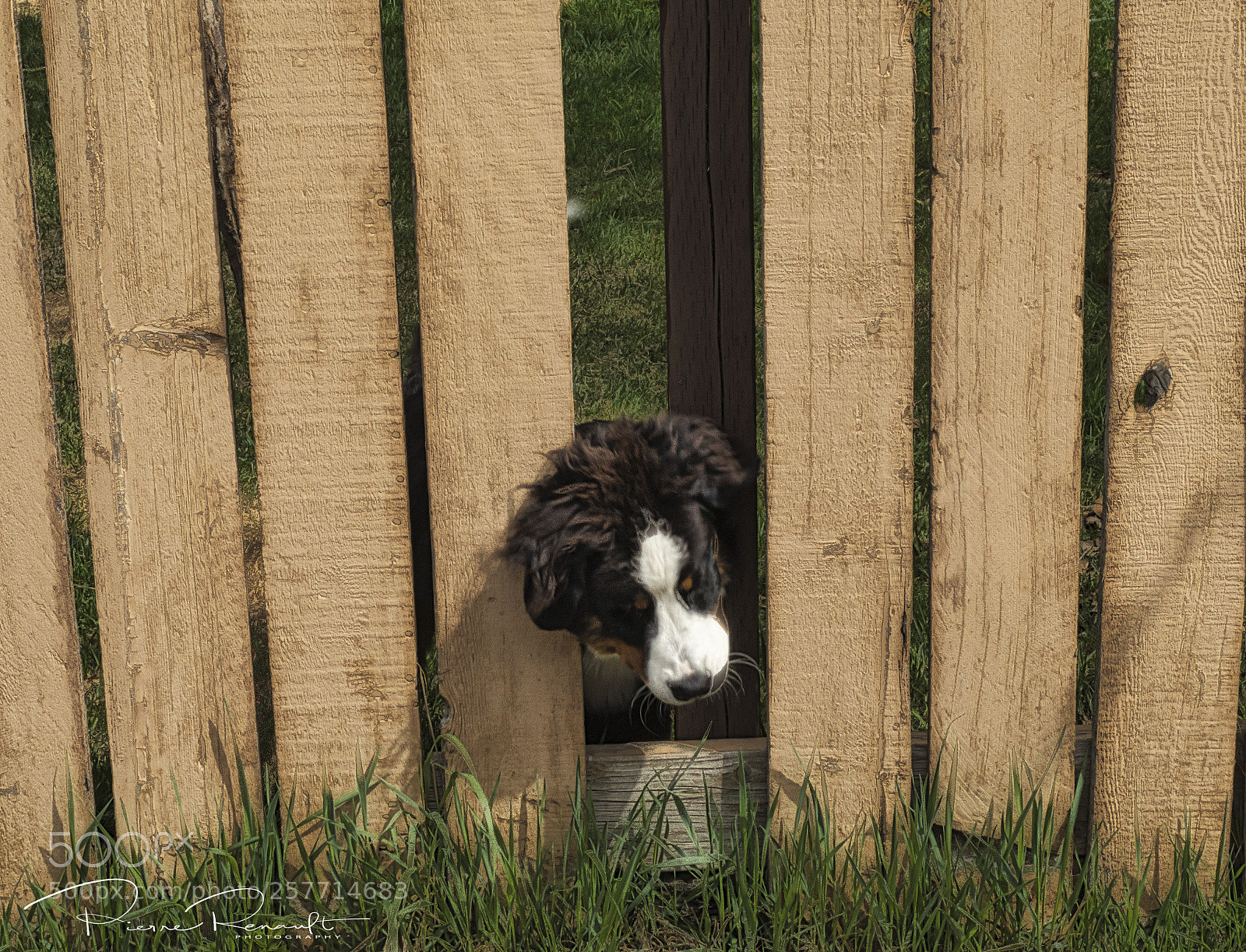 Panasonic Lumix DMC-GH4 sample photo. What's on this side? photography