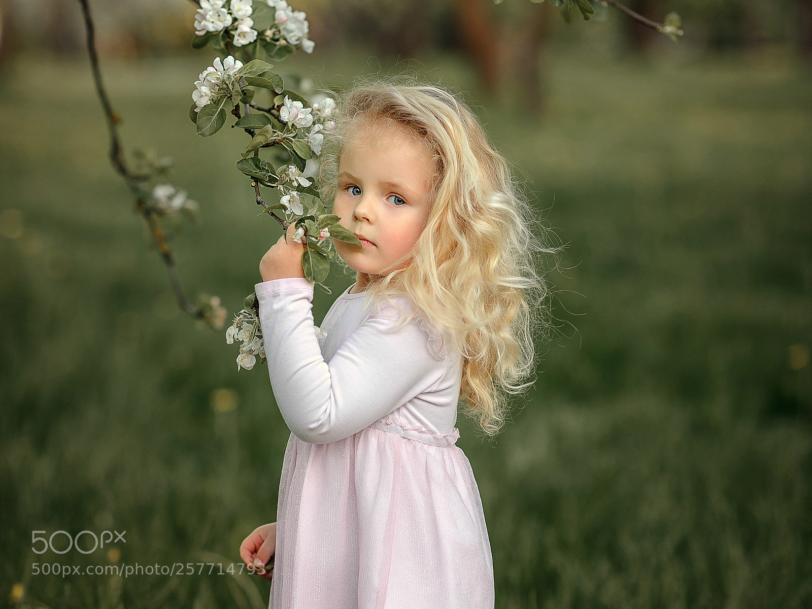 Nikon D800 sample photo. Ульяша photography