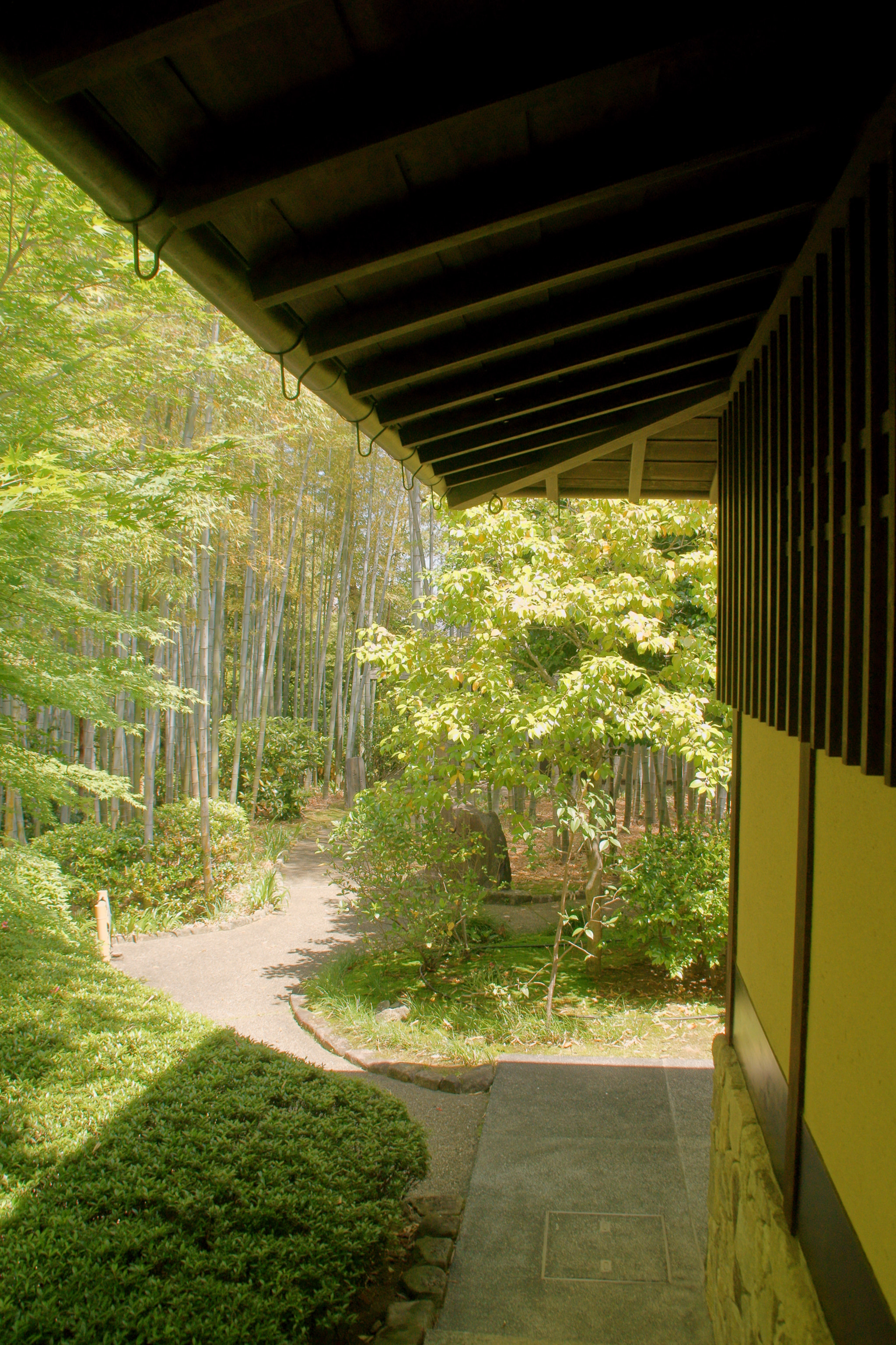 Sony DT 18-200mm F3.5-6.3 sample photo. The shade of the early summer photography