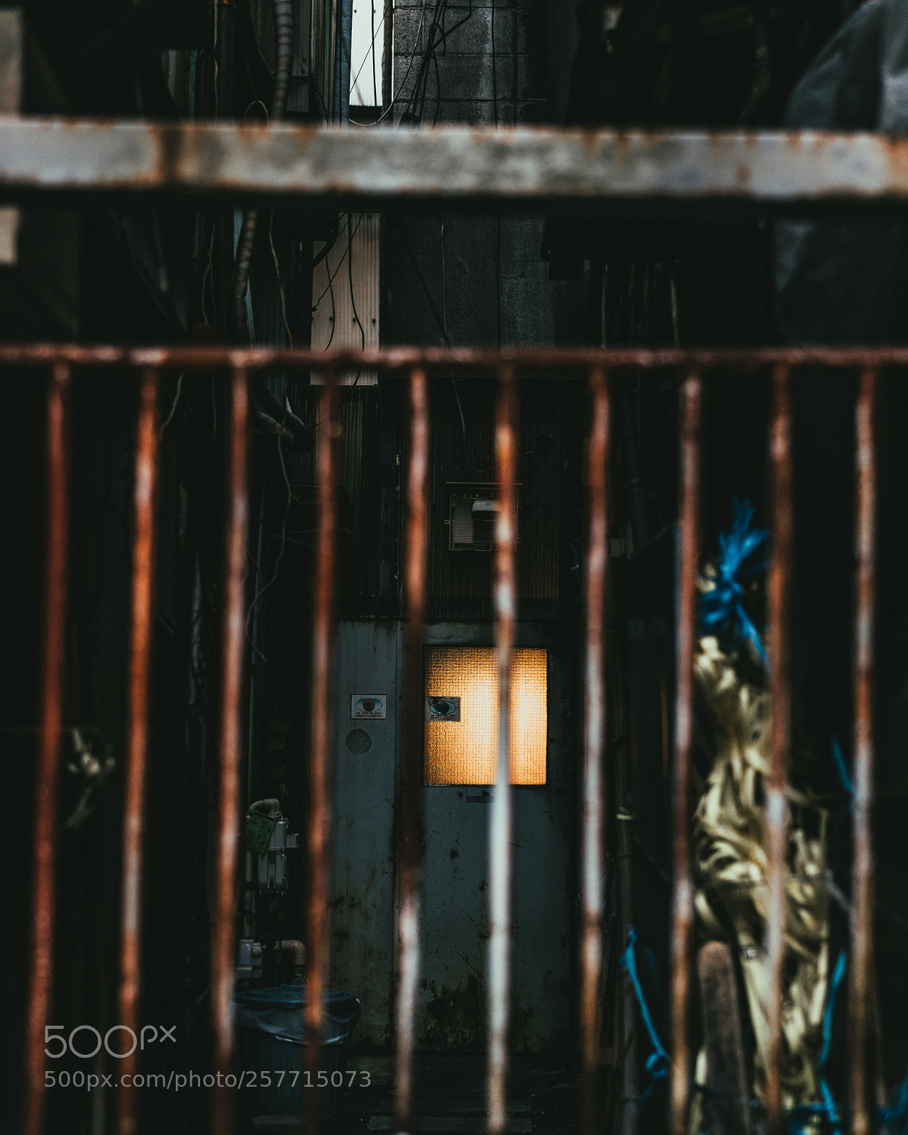 Sony a7R III sample photo. Door of mystery photography