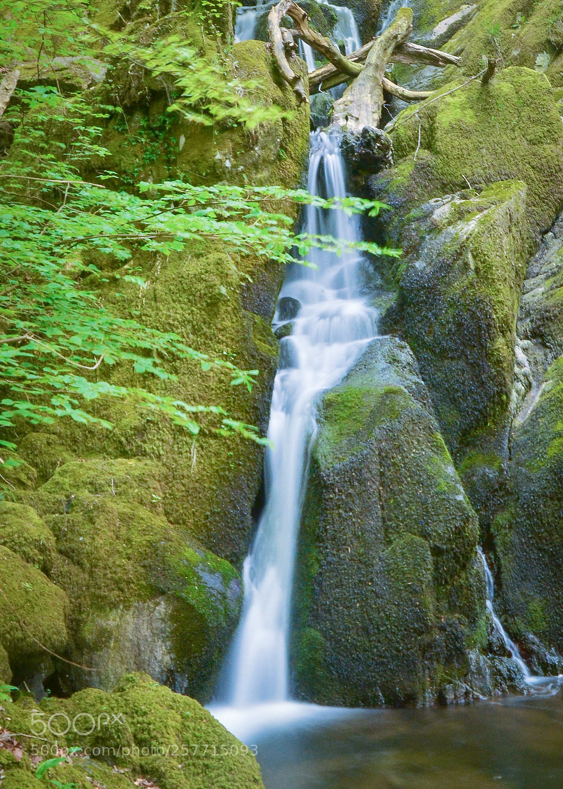 Nikon D3100 sample photo. Slowing down photography