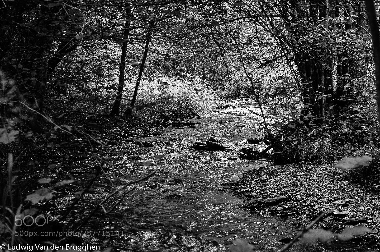 Nikon D300 sample photo. Small river photography