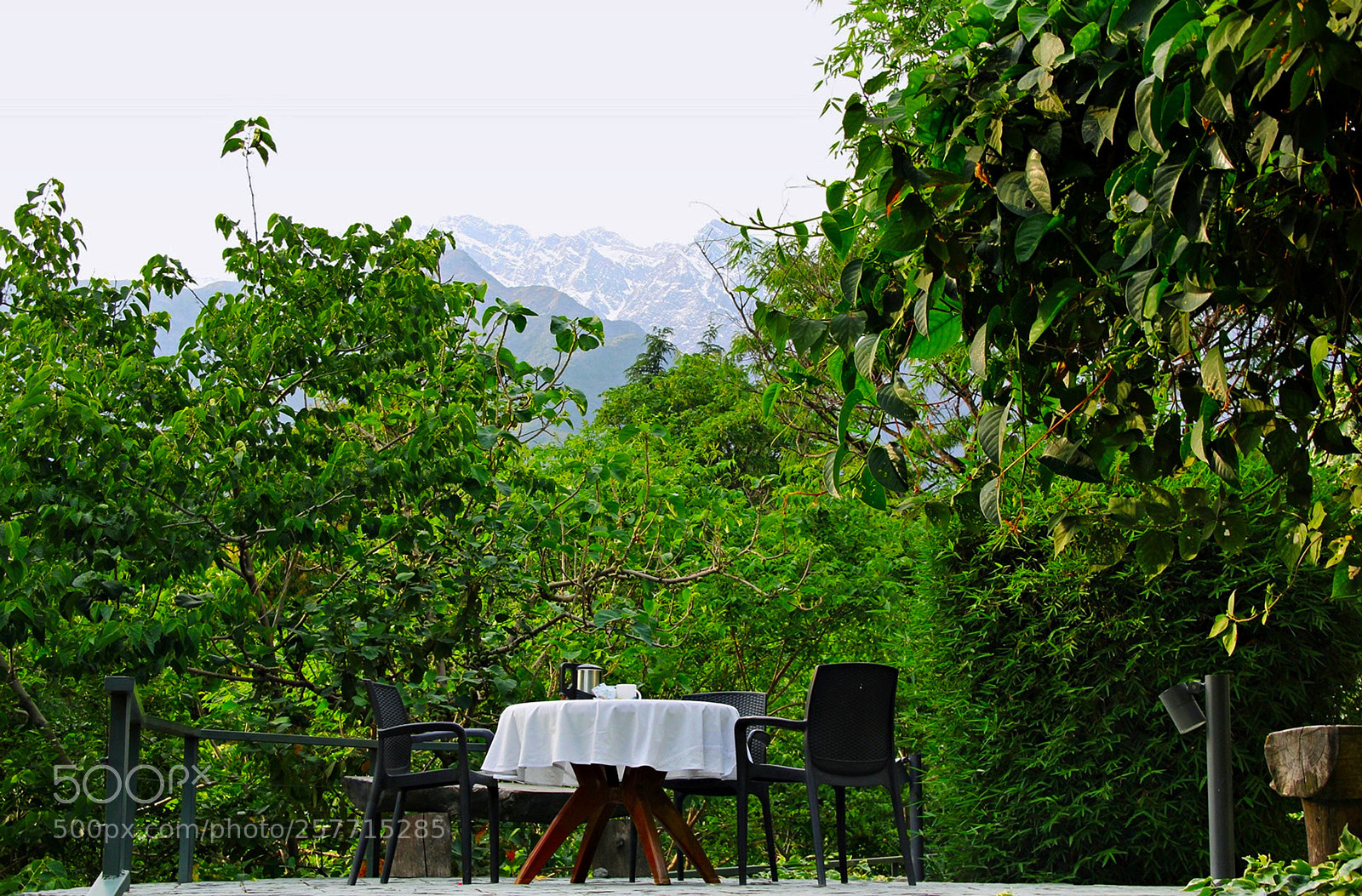 Canon EOS 60D sample photo. Img photography