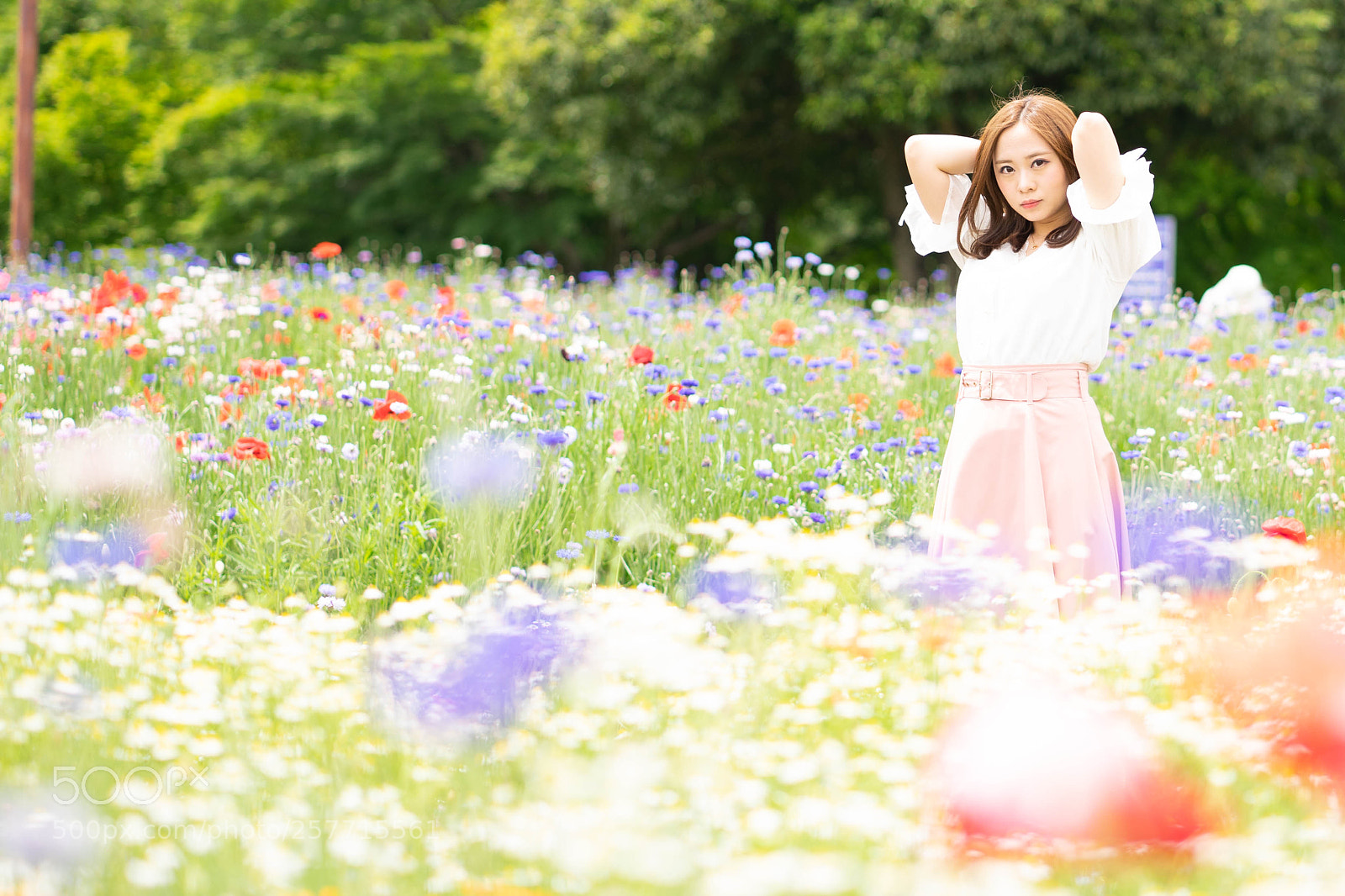 Sony a7 II sample photo. Dsc photography