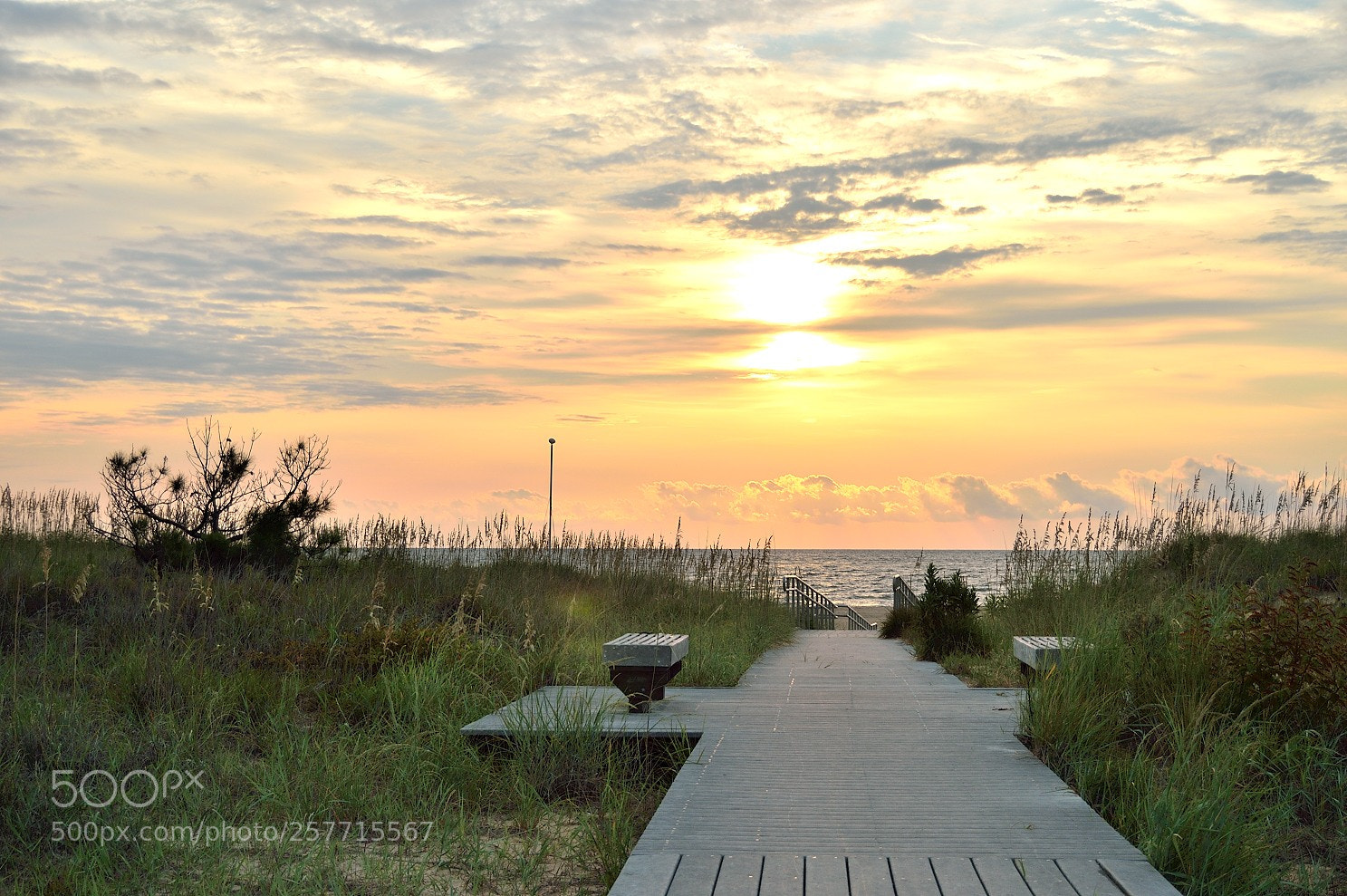 Nikon D3200 sample photo. Untitled photography