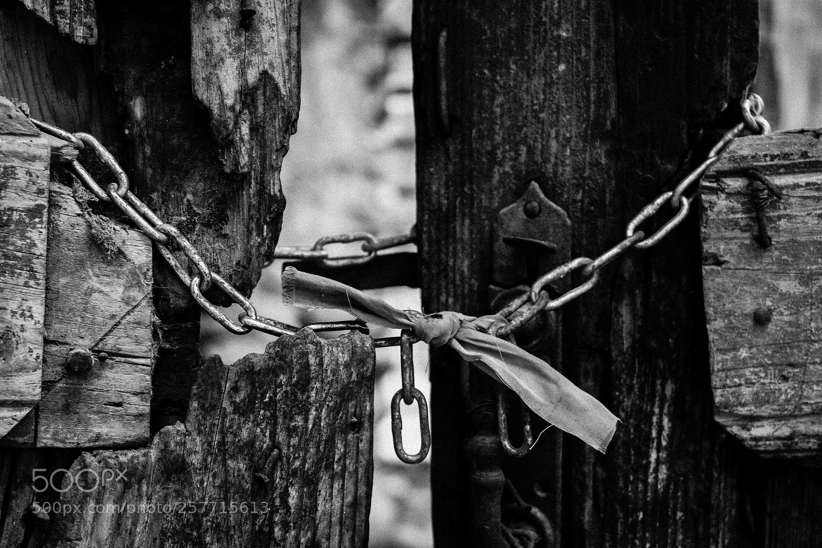 Canon EOS 450D (EOS Rebel XSi / EOS Kiss X2) sample photo. Ribbon and chain, cyprus photography