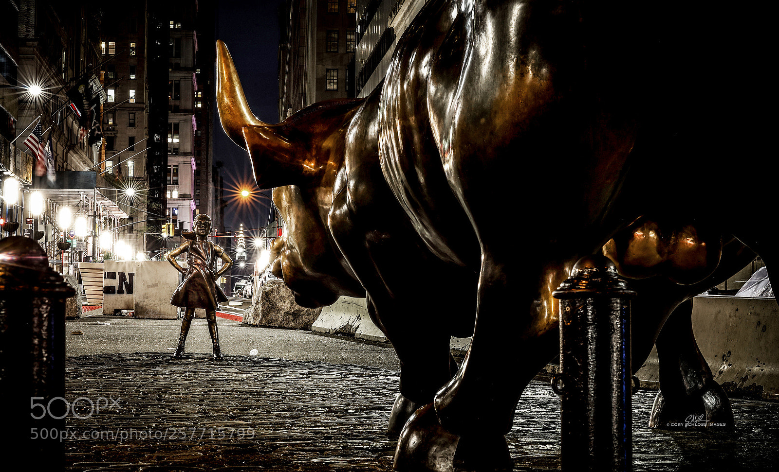 Canon EOS 5D Mark IV sample photo. Fearless and the bull photography