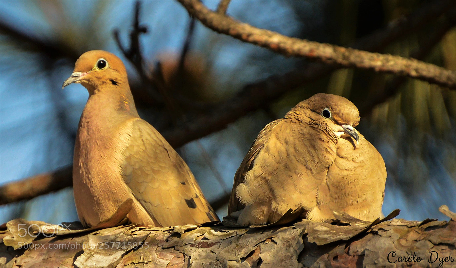 Nikon D3200 sample photo. Happy mother's day photography
