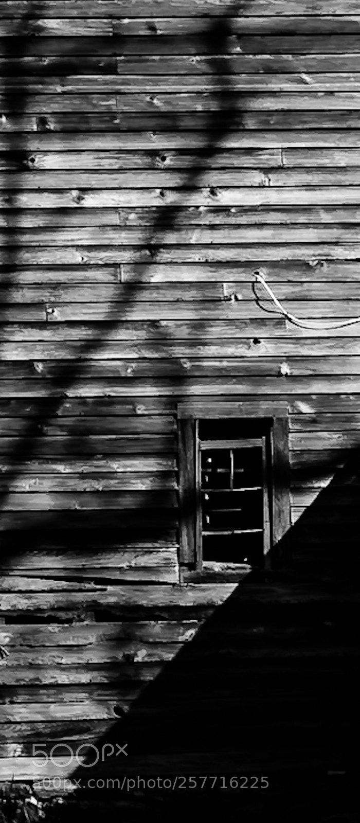 Nikon D750 sample photo. Windows of a barn photography