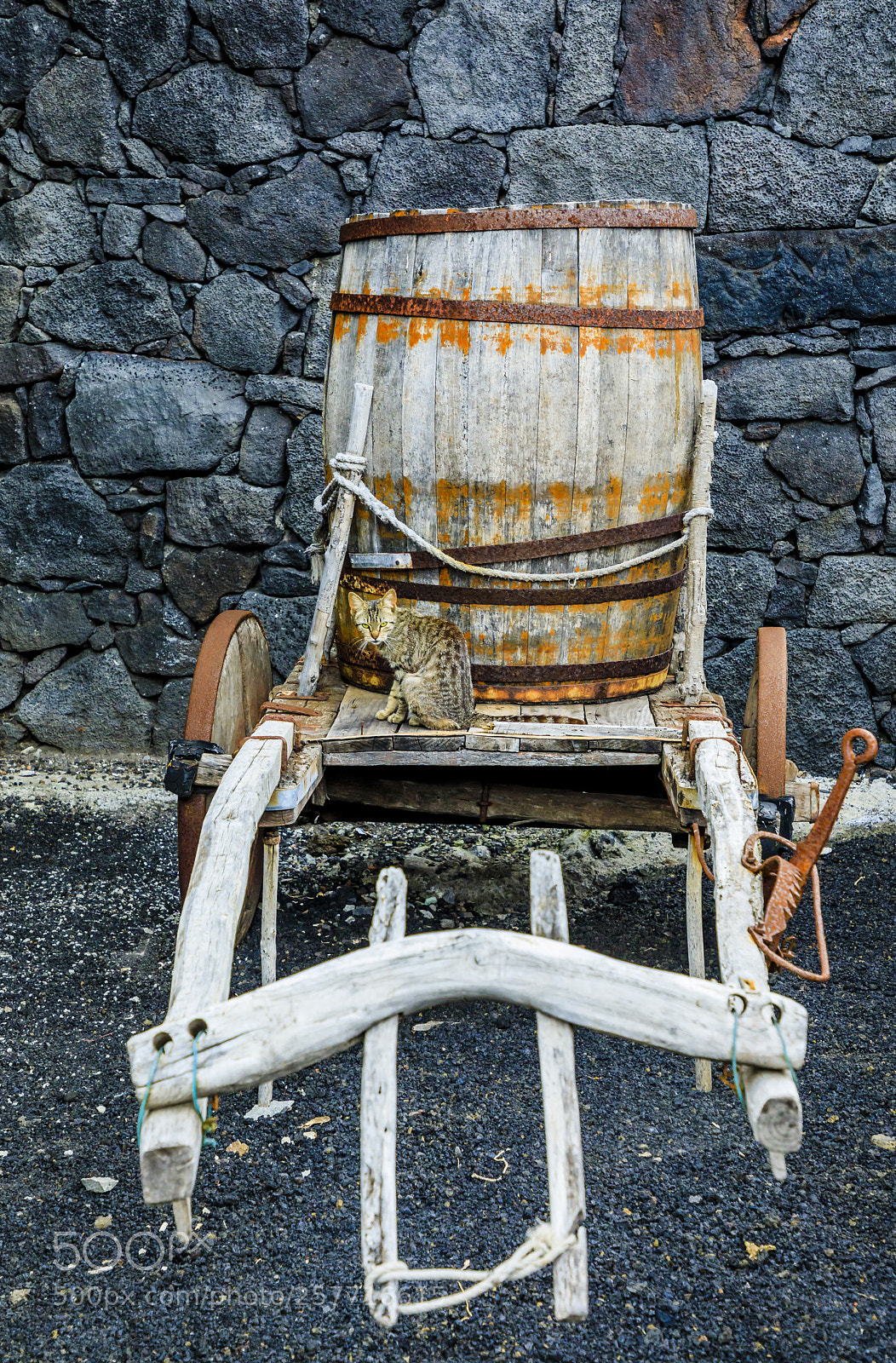 Canon EOS 5D Mark IV sample photo. Açores-pico-lajido photography