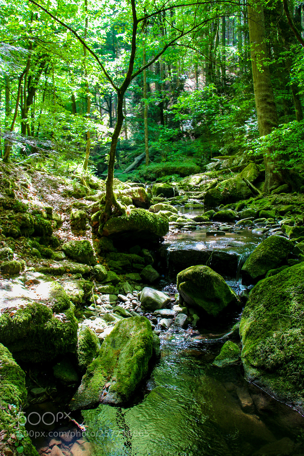 Canon EOS 100D (EOS Rebel SL1 / EOS Kiss X7) sample photo. Spring falls photography