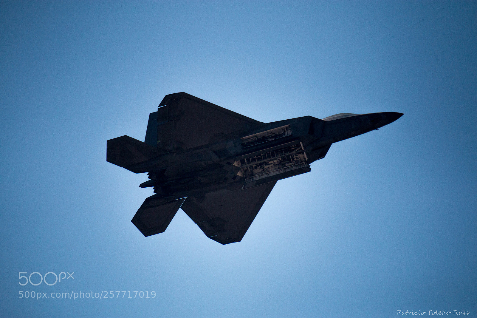 Canon EOS 70D sample photo. F22 raptor with open photography