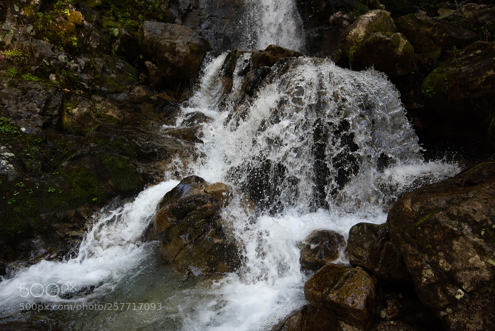 Nikon D810 sample photo. Splash photography