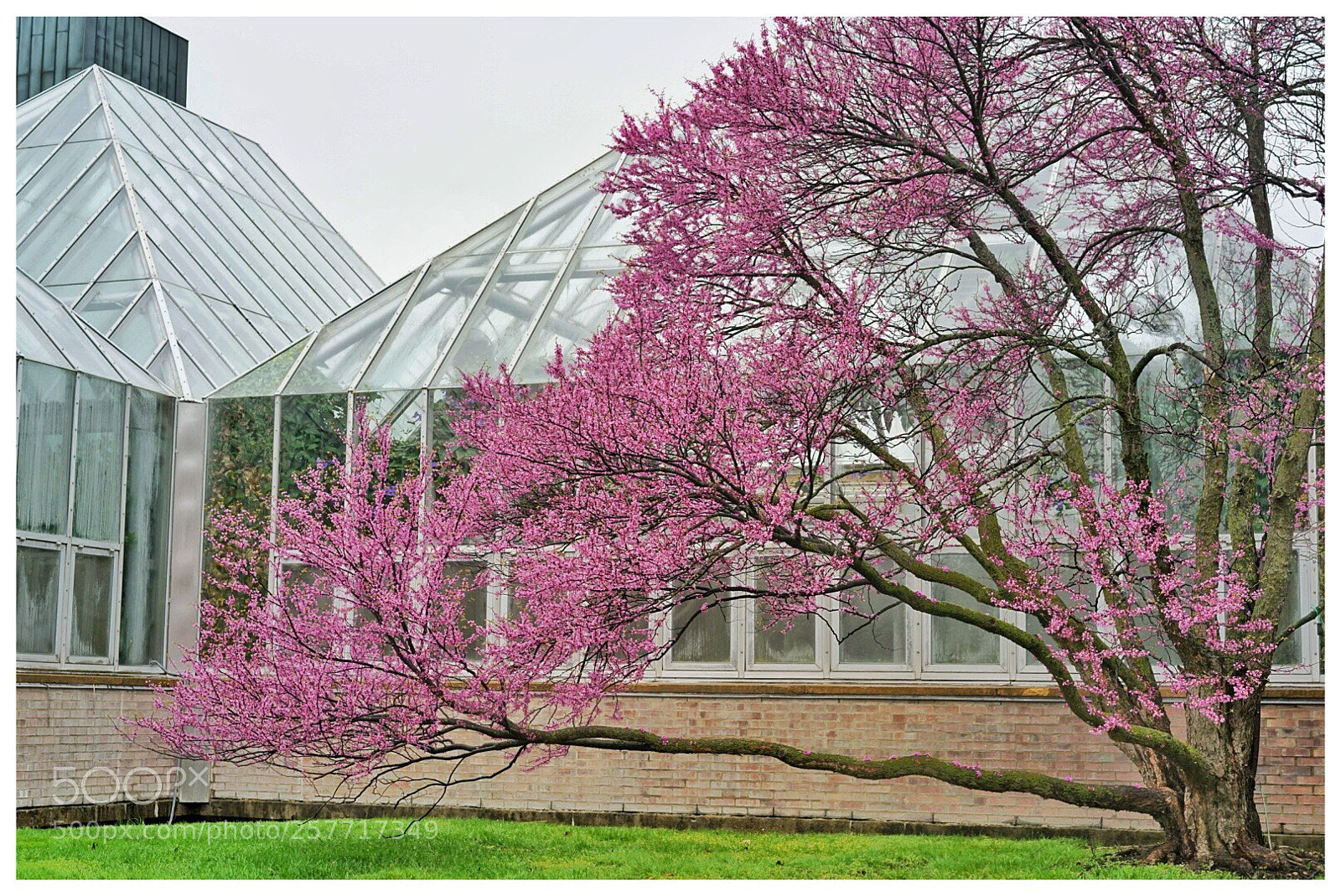 Sony a7 II sample photo. Green house 2 photography