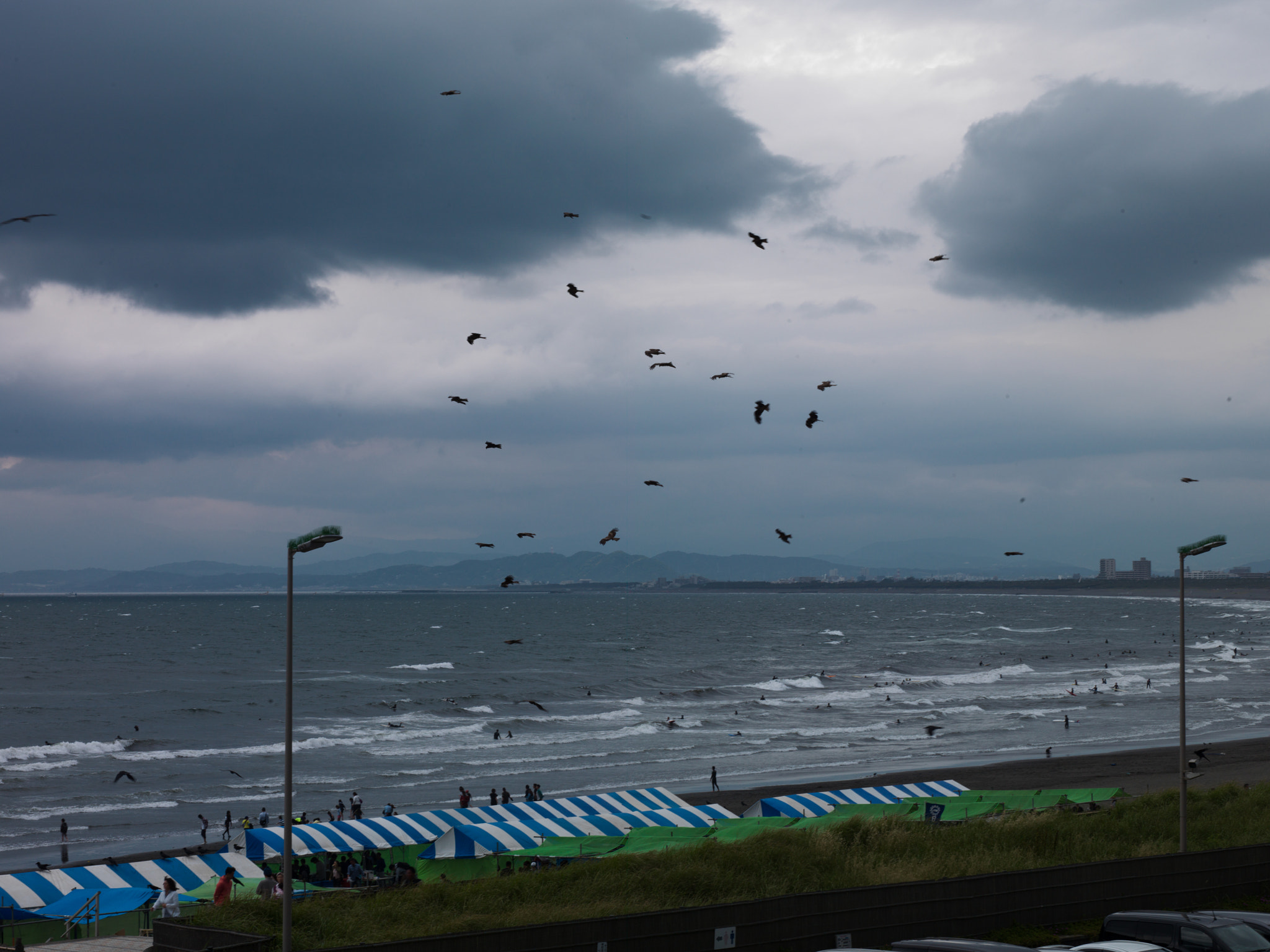 Hasselblad H3D-39 sample photo. Shonan - windy day photography