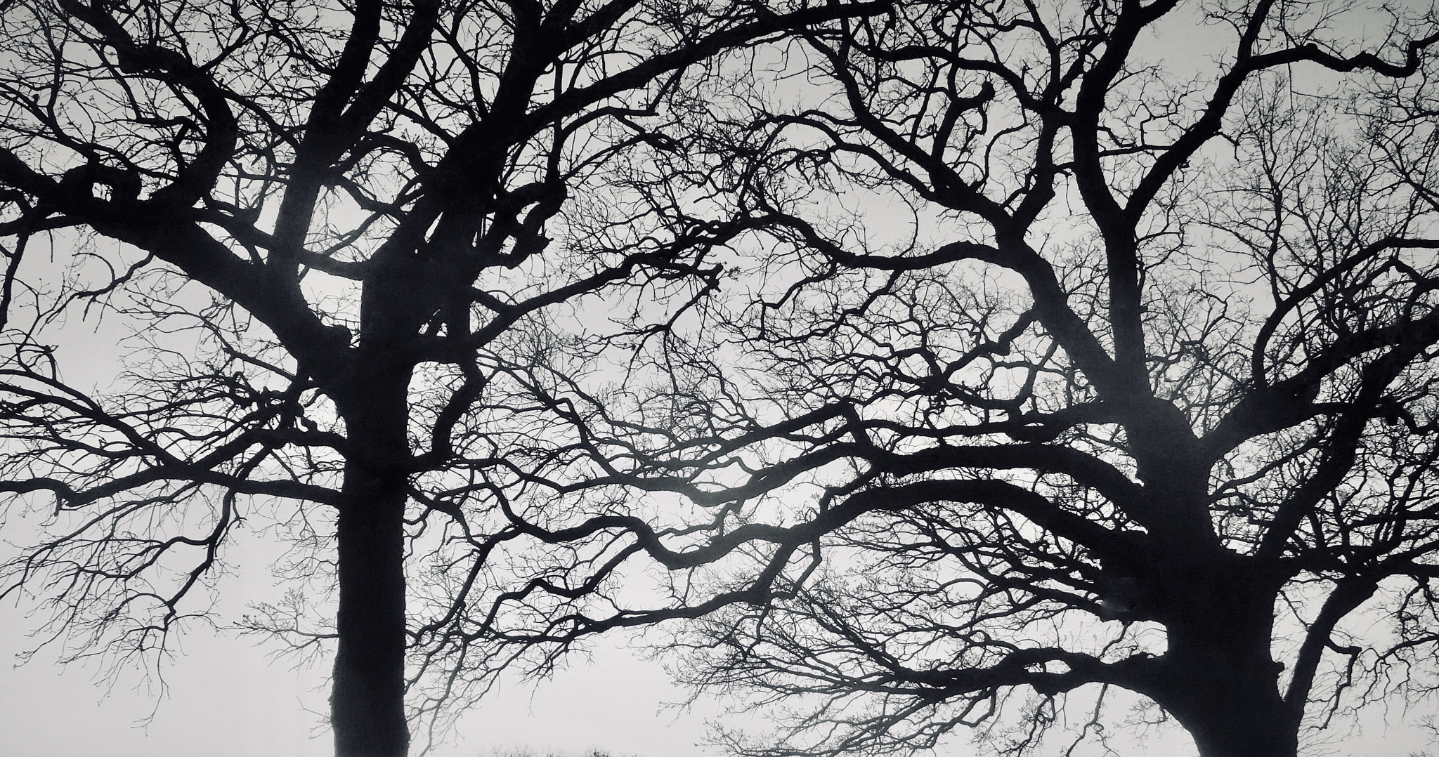 Leica C (Typ 112) sample photo. Hug photography