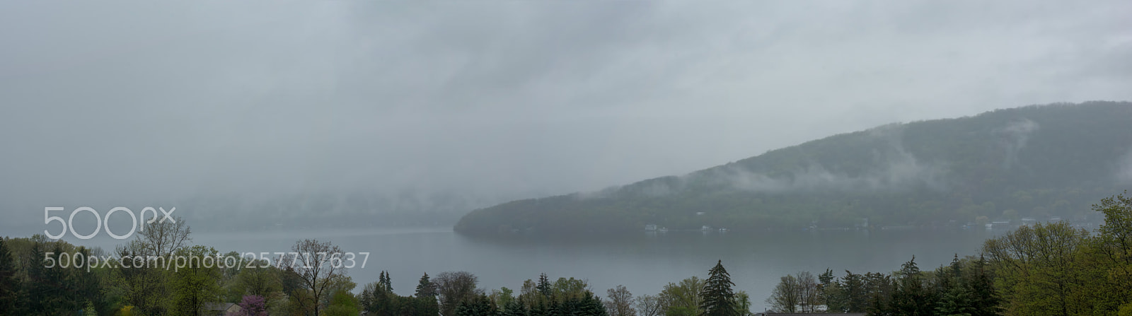 Nikon D750 sample photo. Foggy morning on keuka photography