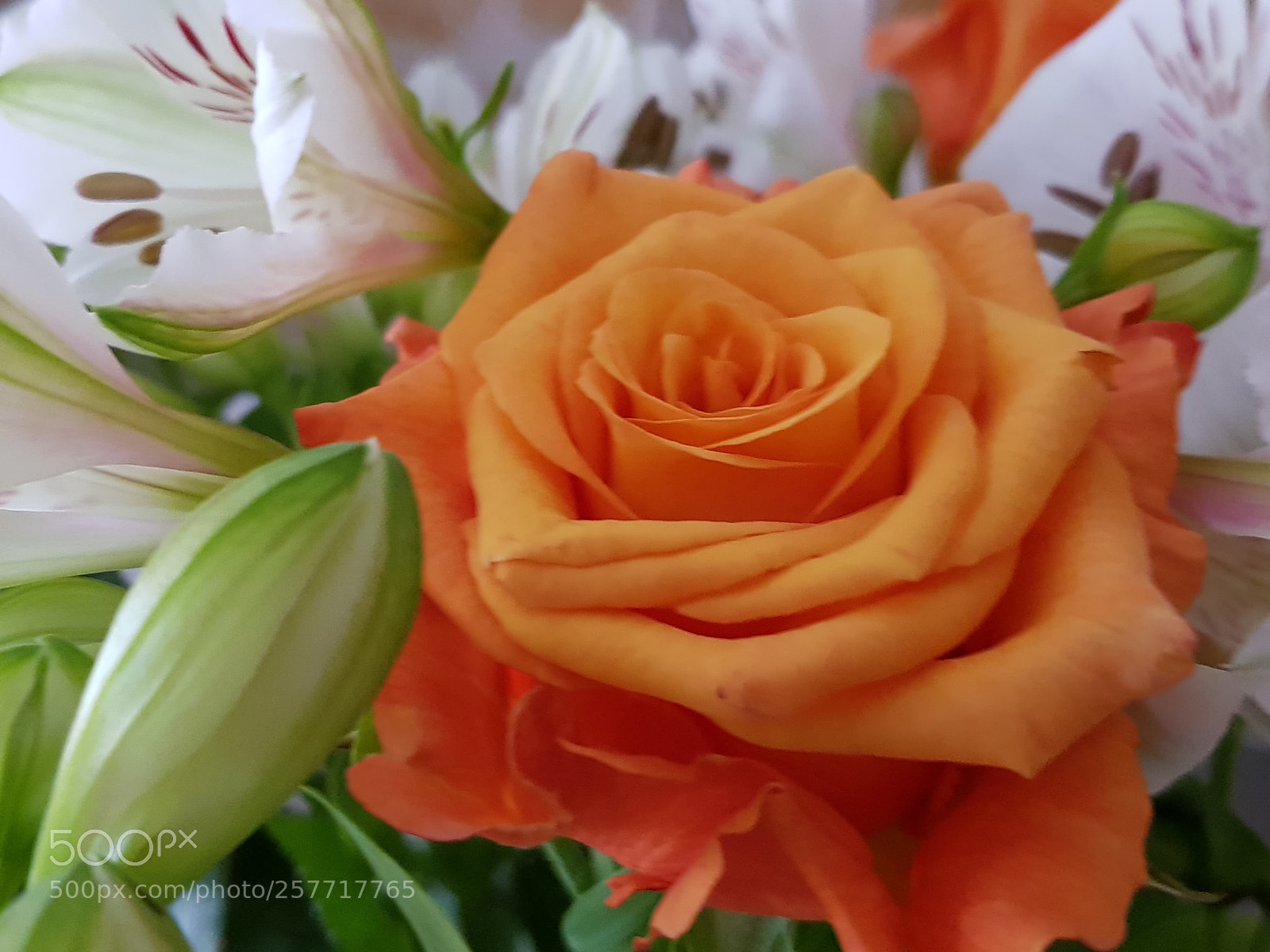 Samsung Galaxy S8 sample photo. Untitled photography