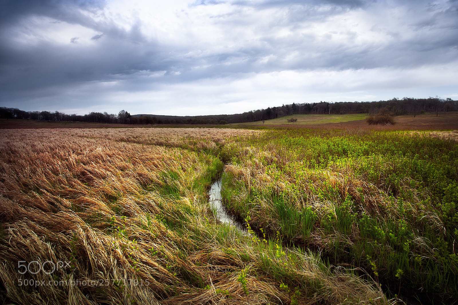 Canon EOS 6D sample photo. Flooded path at big photography