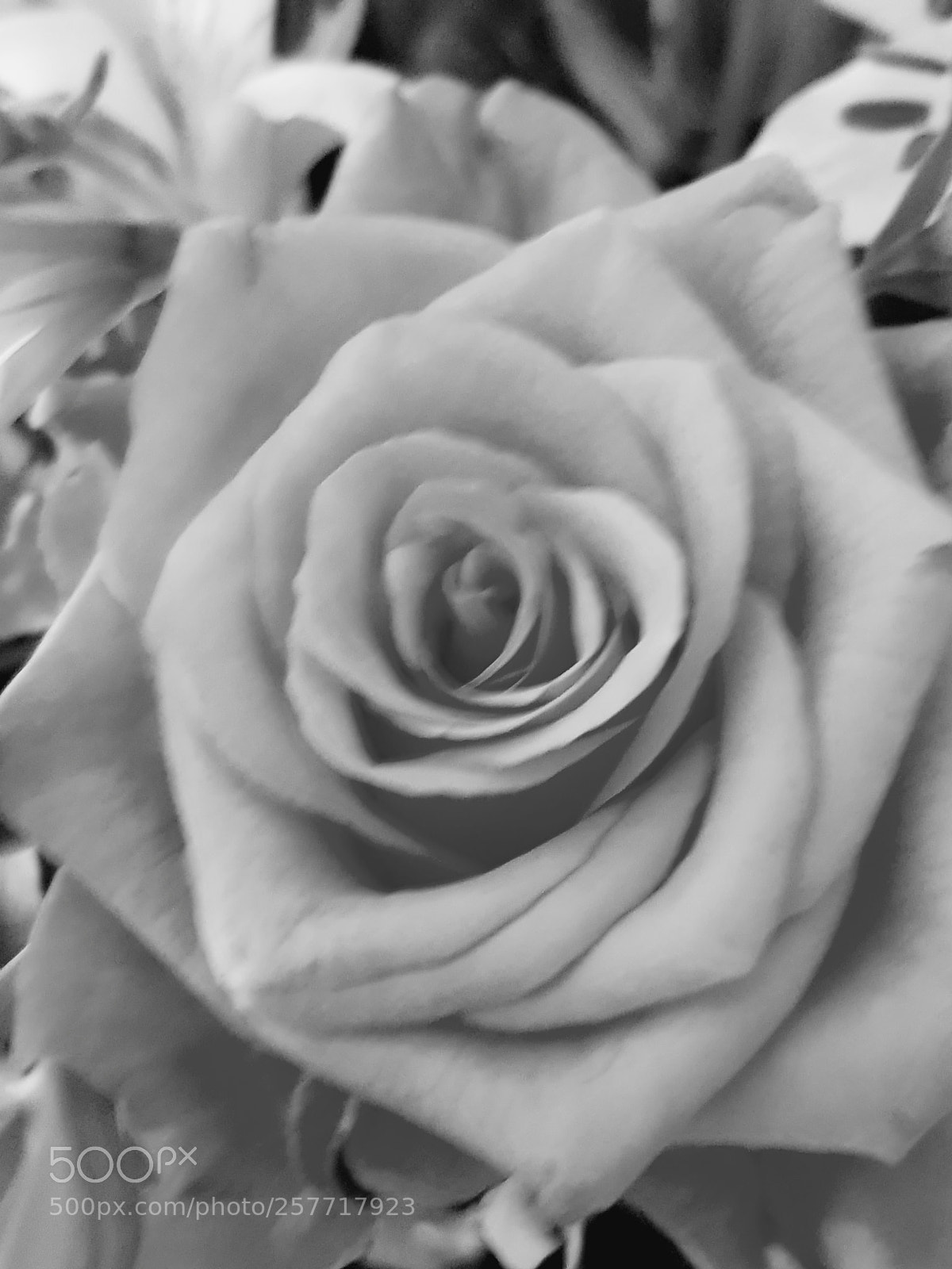 Samsung Galaxy S8 sample photo. Untitled photography