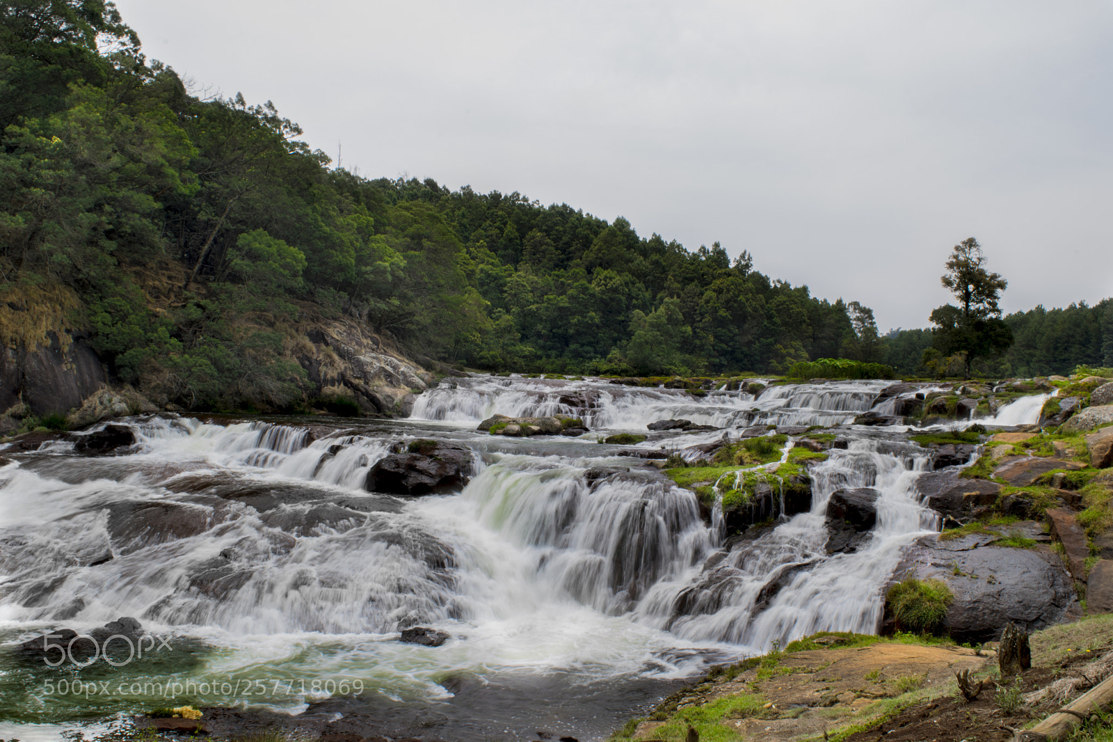 Nikon D3300 sample photo. Untitled photography