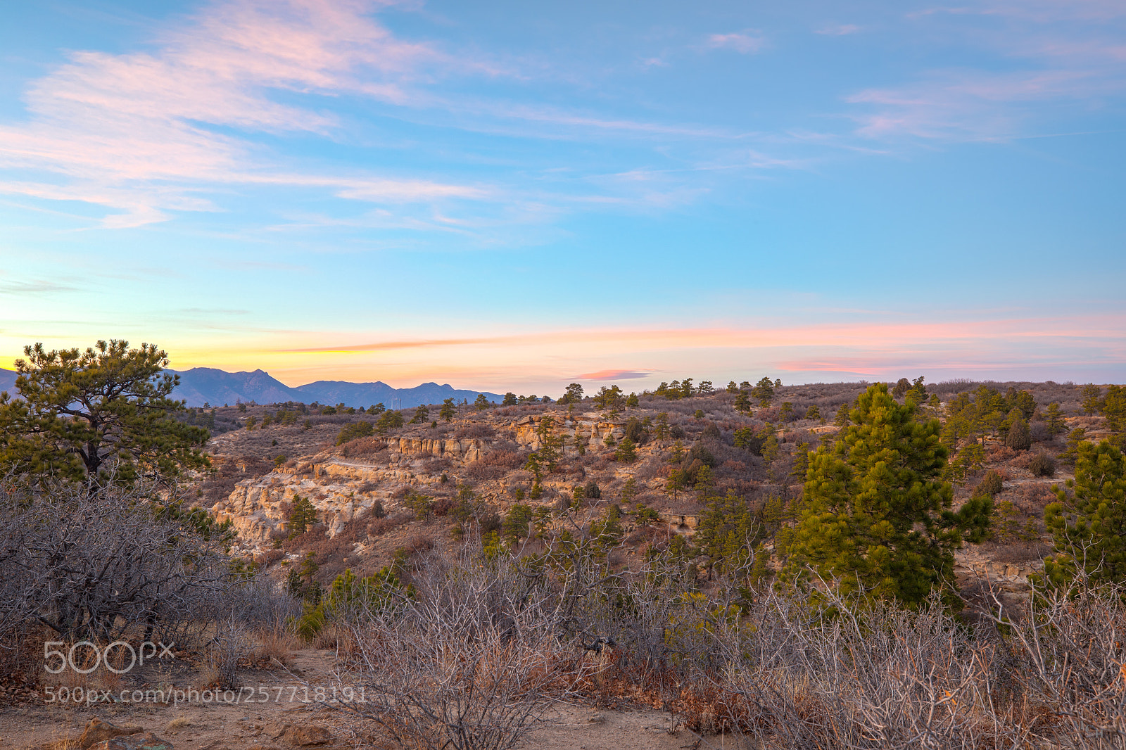 Canon EOS 5D Mark IV sample photo. Sunset at palmer park photography