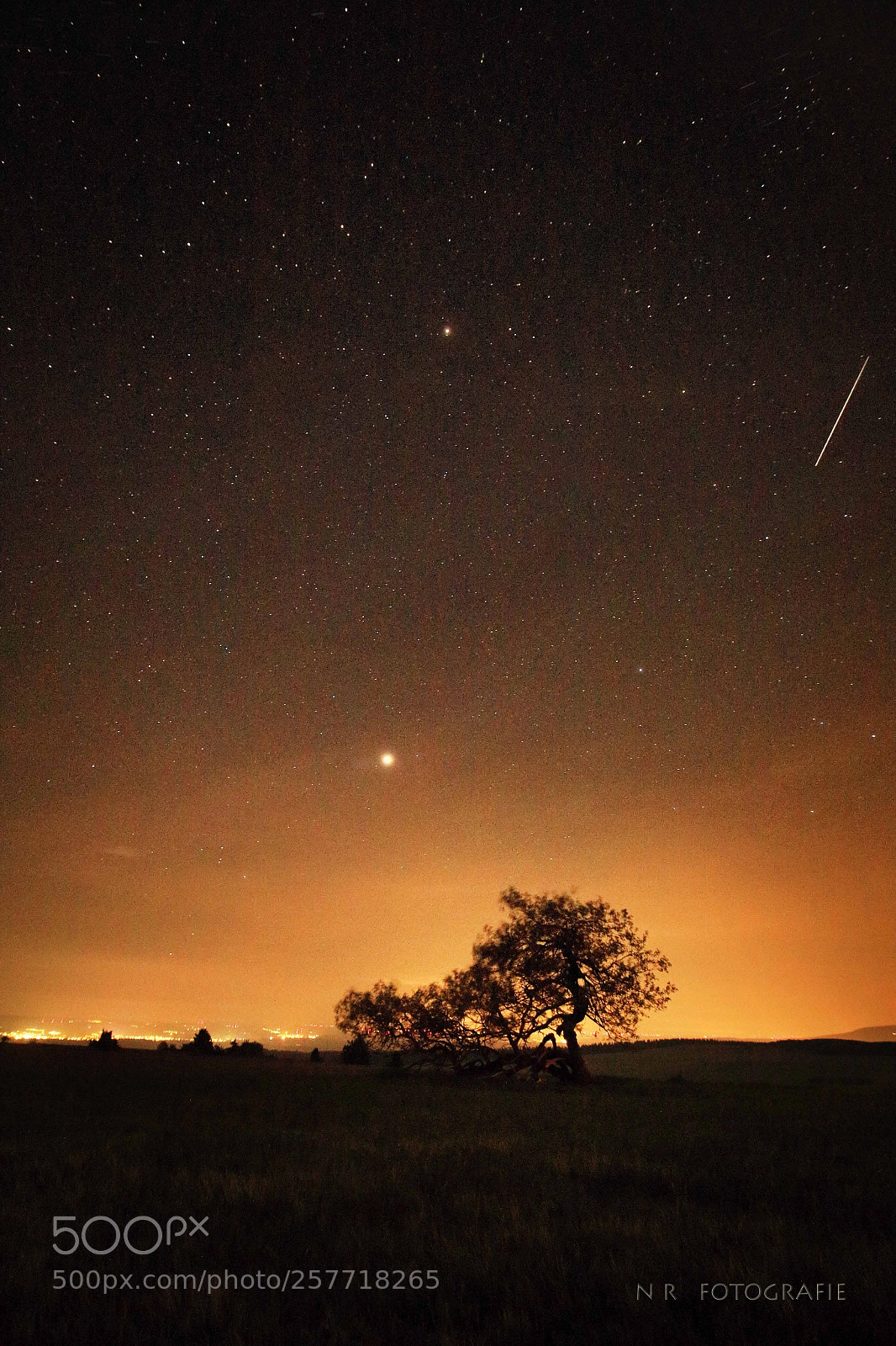 Canon EOS 700D (EOS Rebel T5i / EOS Kiss X7i) sample photo. Sleepless night photography