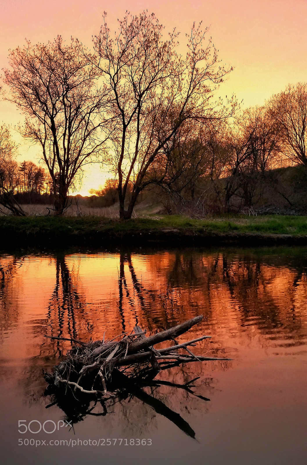 Samsung Galaxy S5 sample photo. Highland creek photography