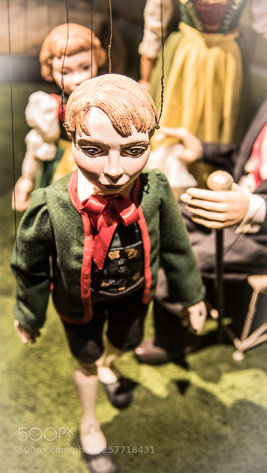 Nikon D750 sample photo. Pull the threads and photography