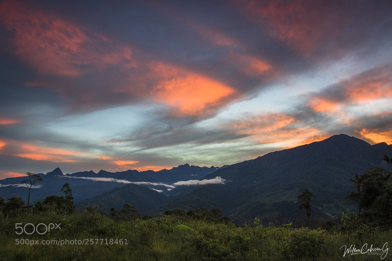 Canon EOS 7D Mark II sample photo. Amazonía ecuador photography
