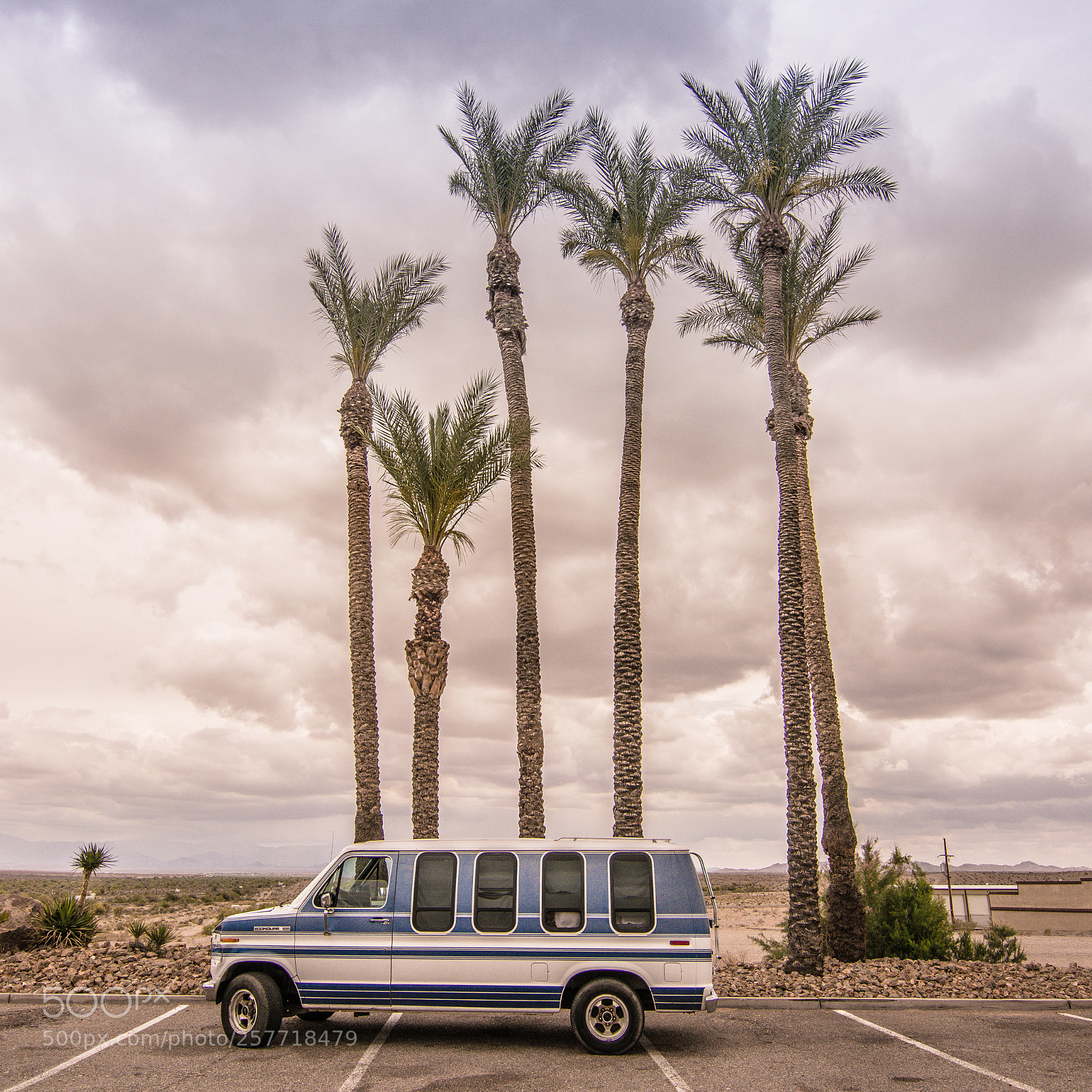 Nikon D5200 sample photo. Econoline parking palm photography