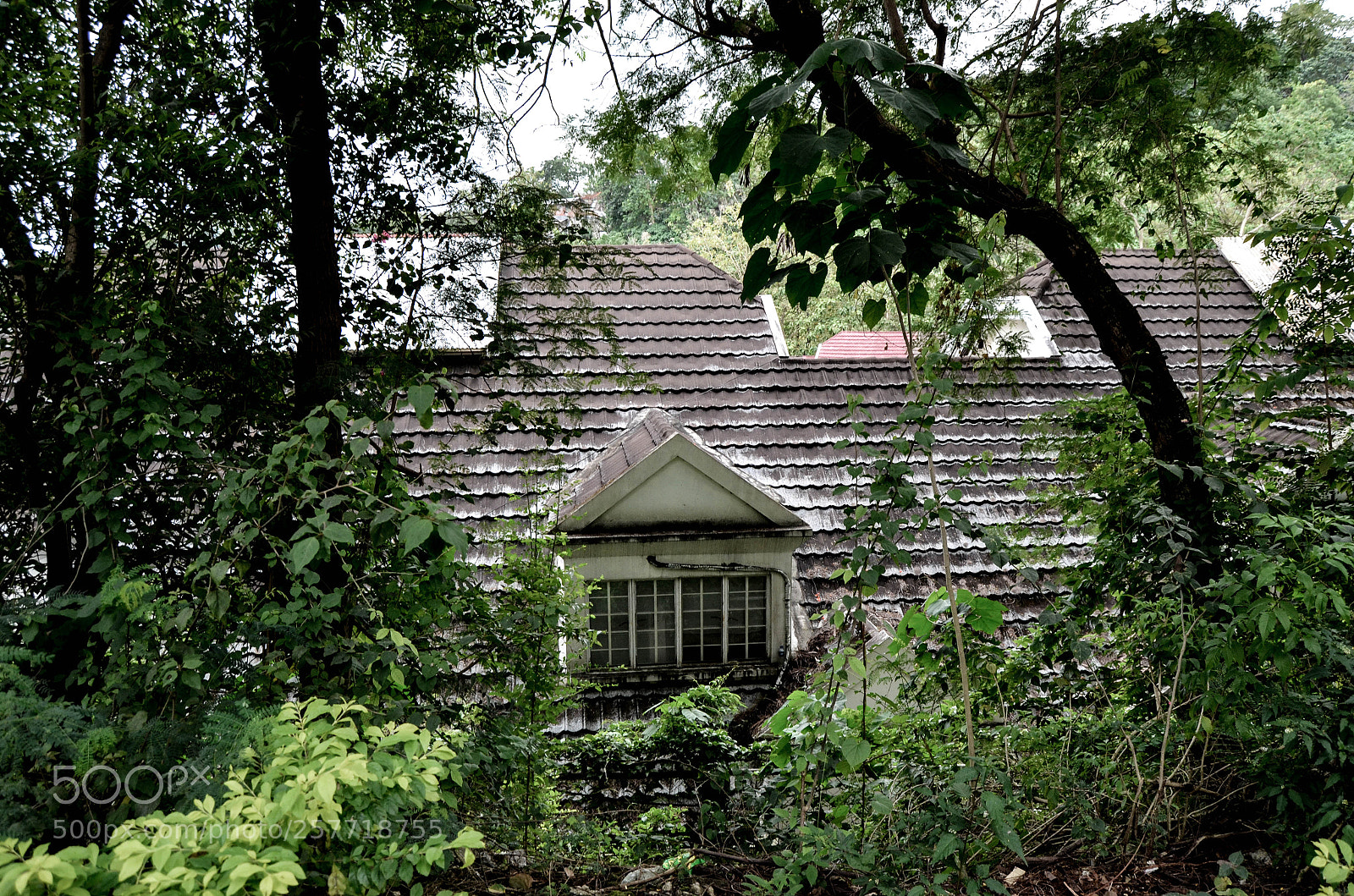 Nikon D5100 sample photo. Cabin in the woods photography