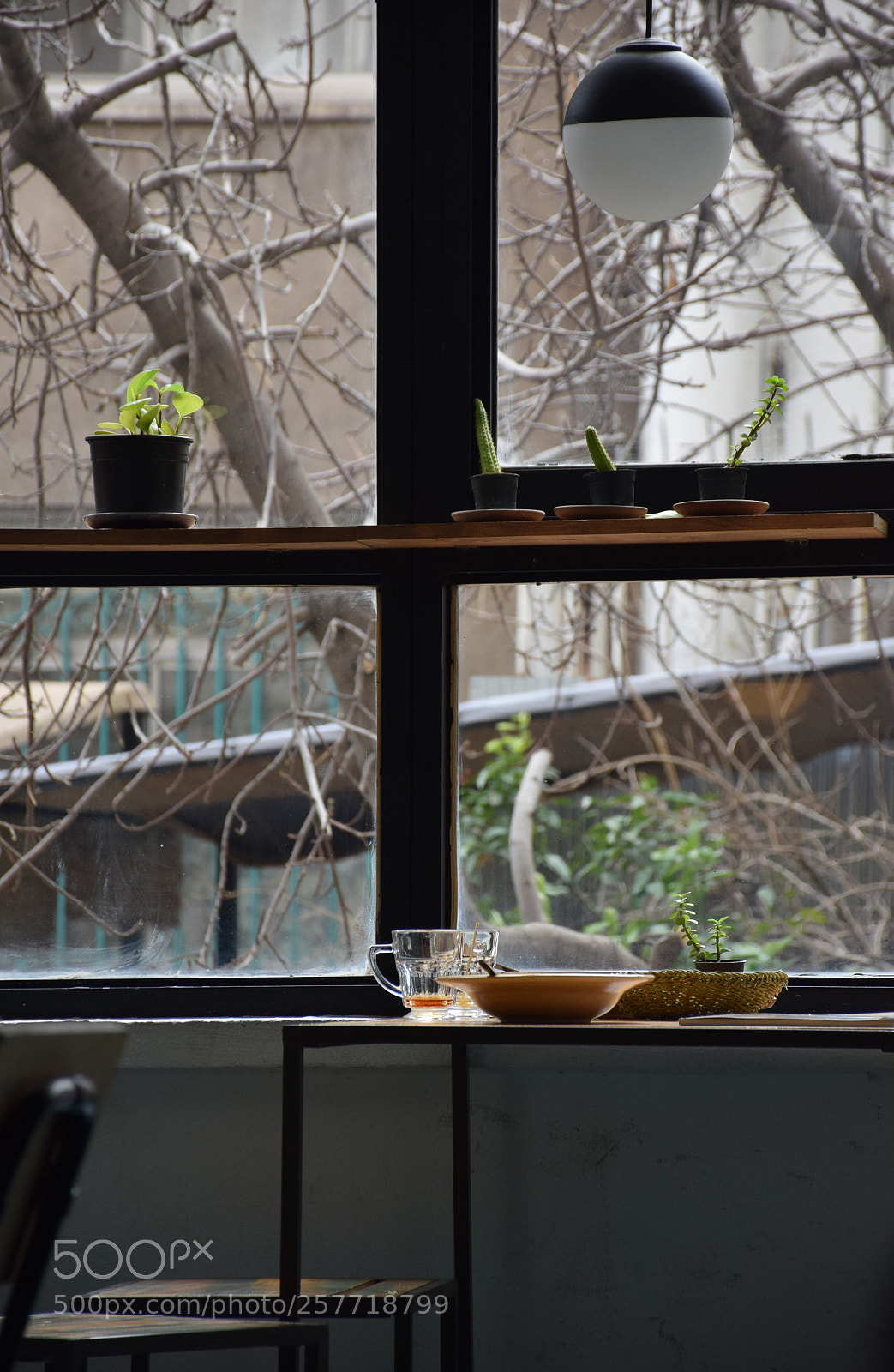 Nikon D5300 sample photo. Cafe photography